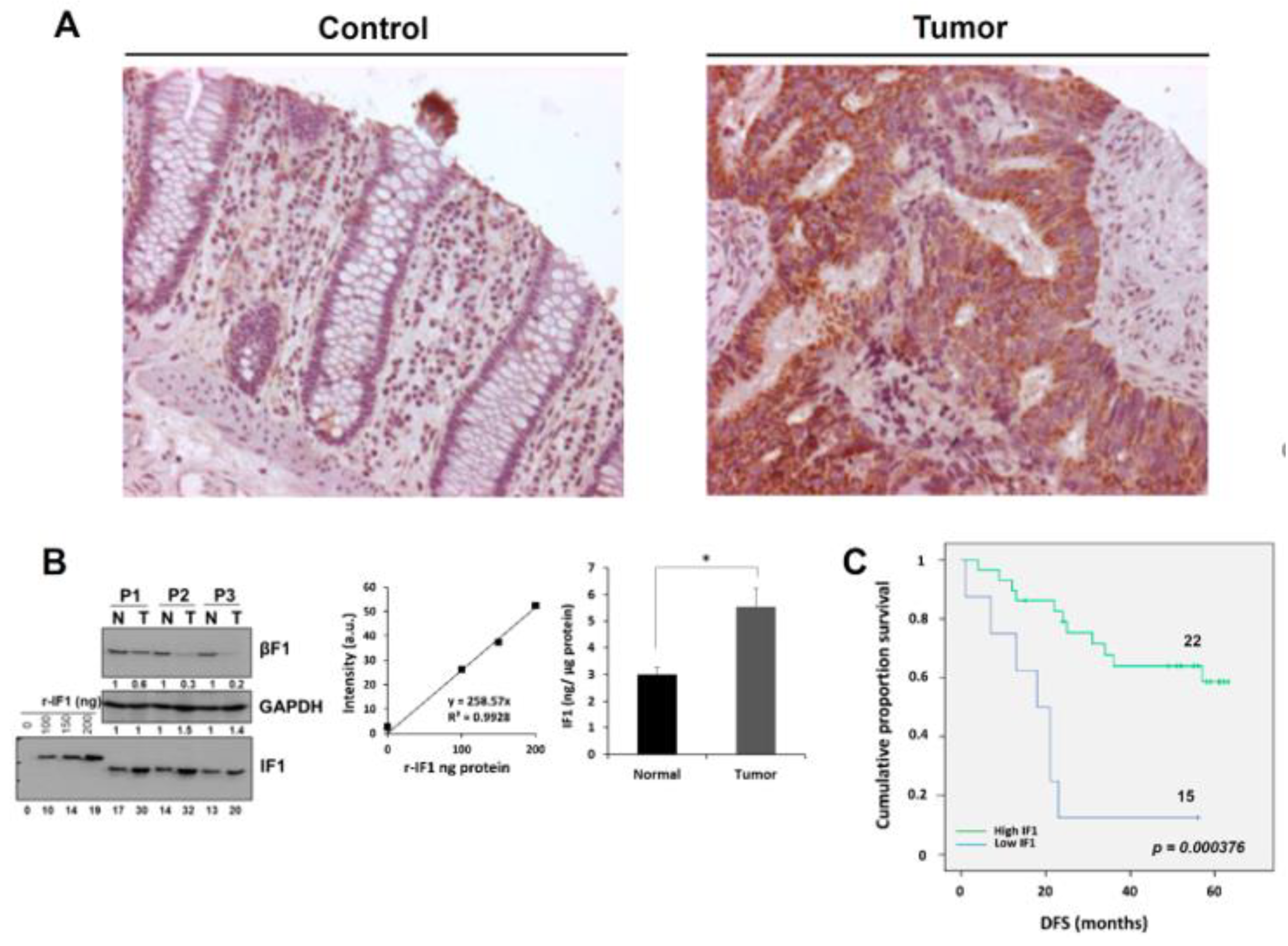 Cancers 12 00022 g001
