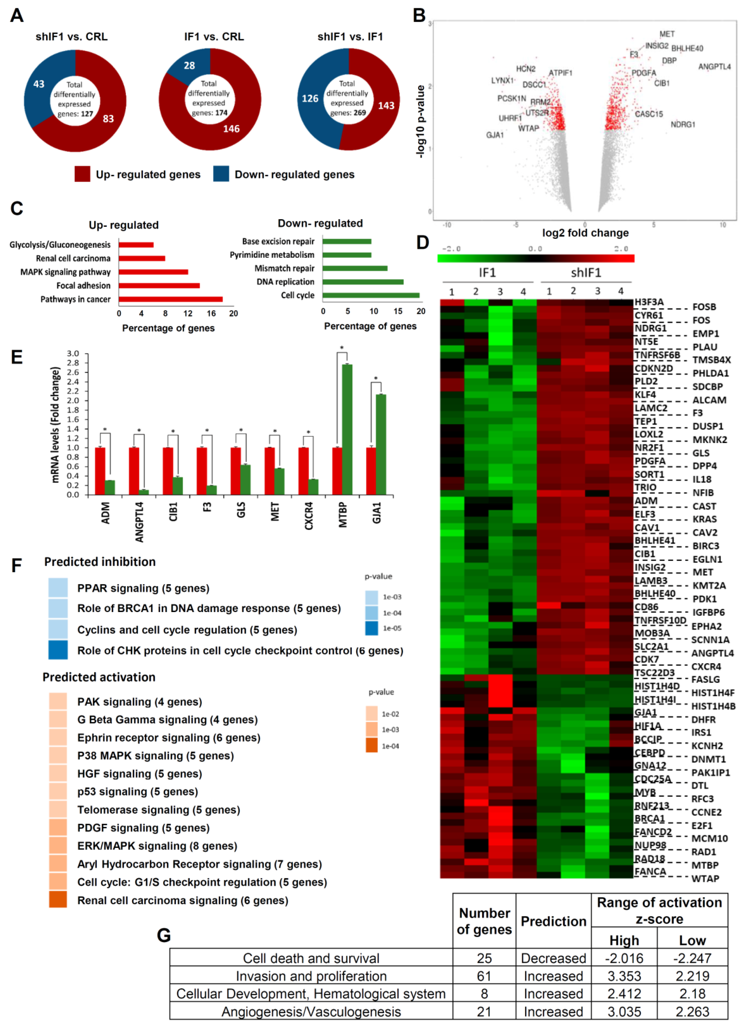 Cancers 12 00022 g002