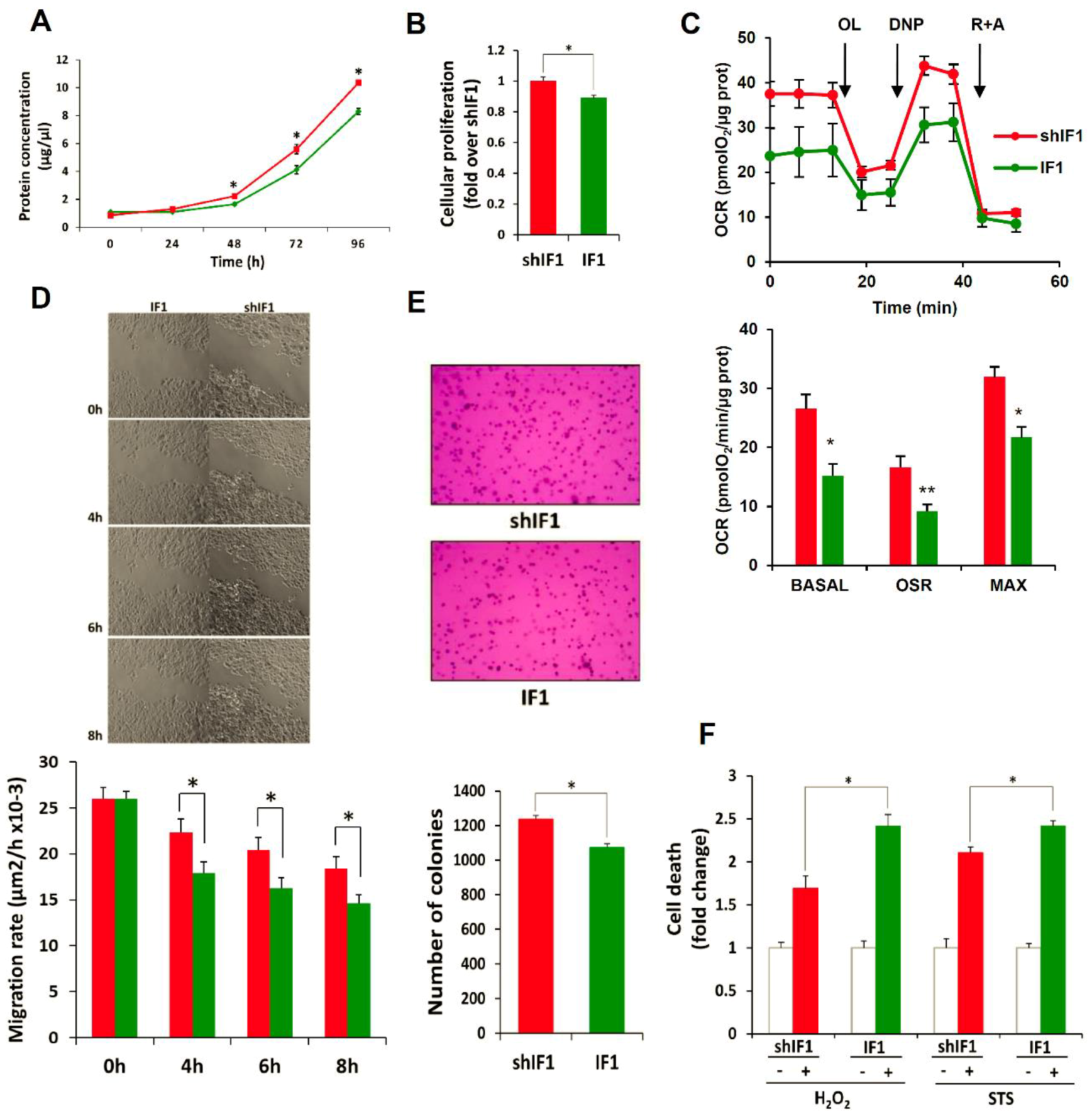 Cancers 12 00022 g004