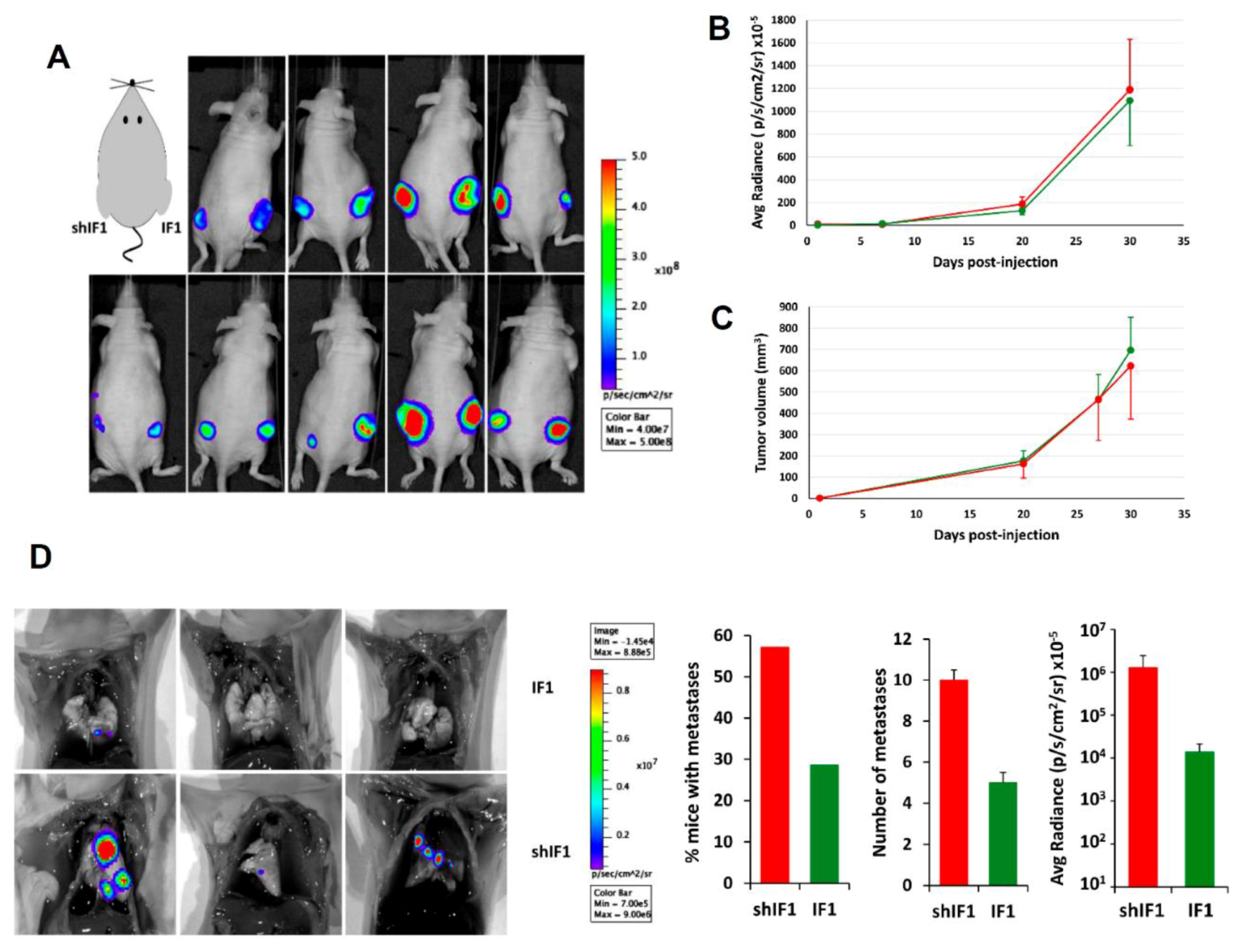 Cancers 12 00022 g005