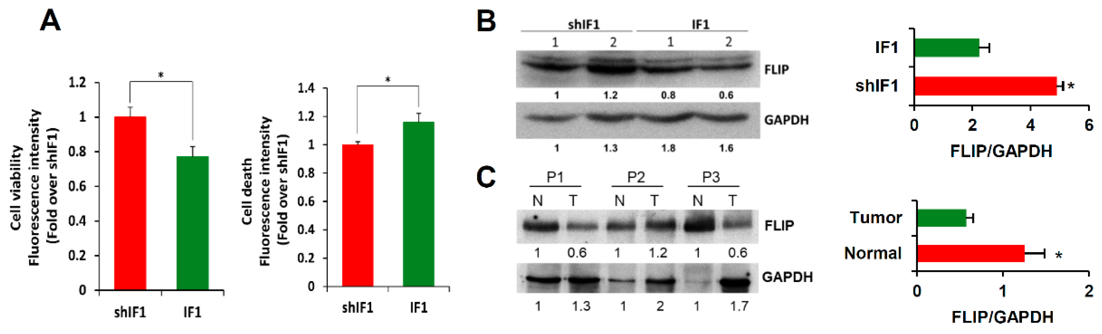 Cancers 12 00022 g006