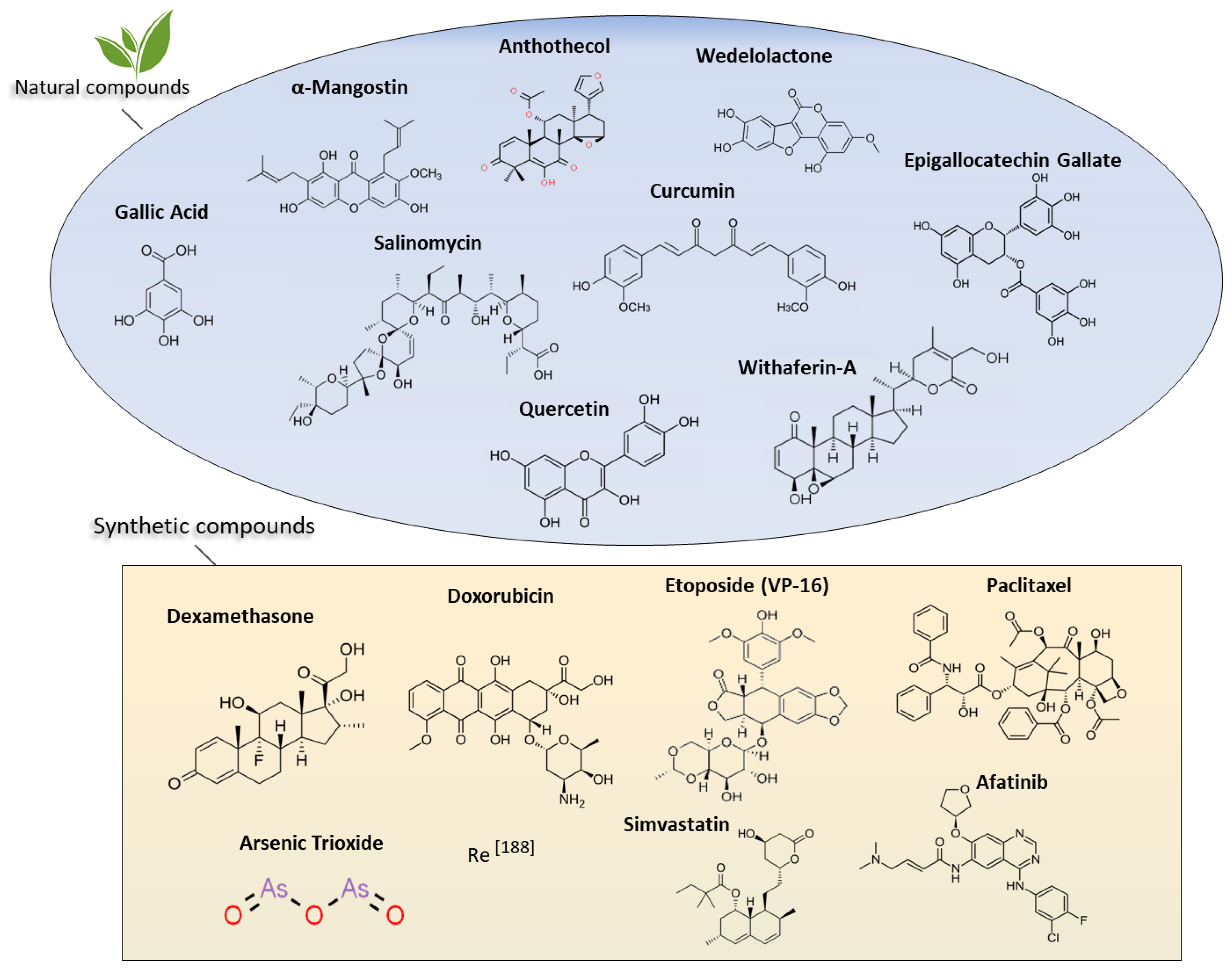 Cancers 12 00025 g004 Cancers 12 00025 g004