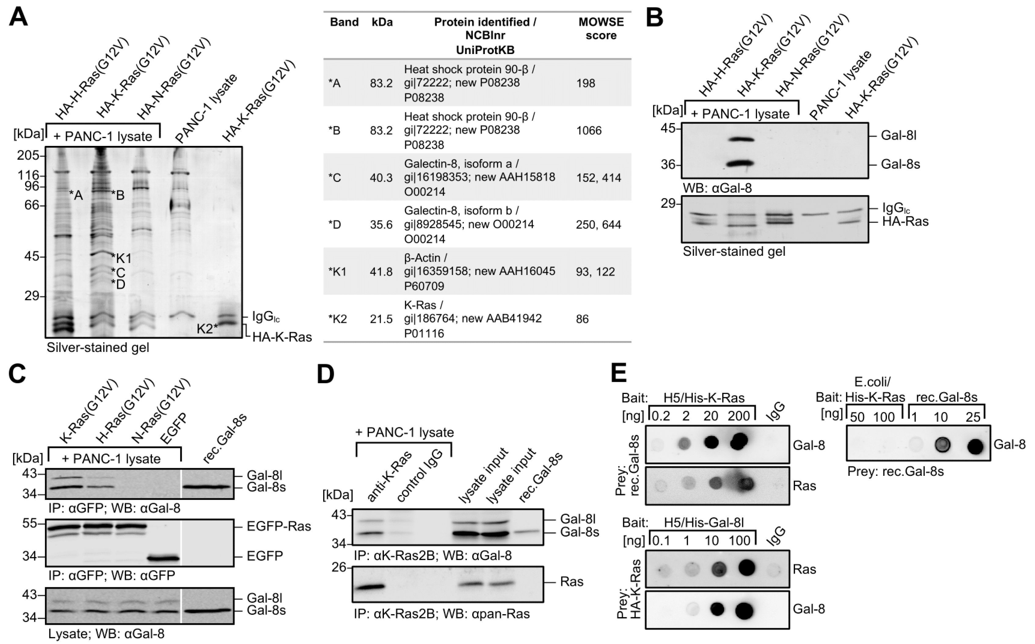 Cancers 12 00030 g001