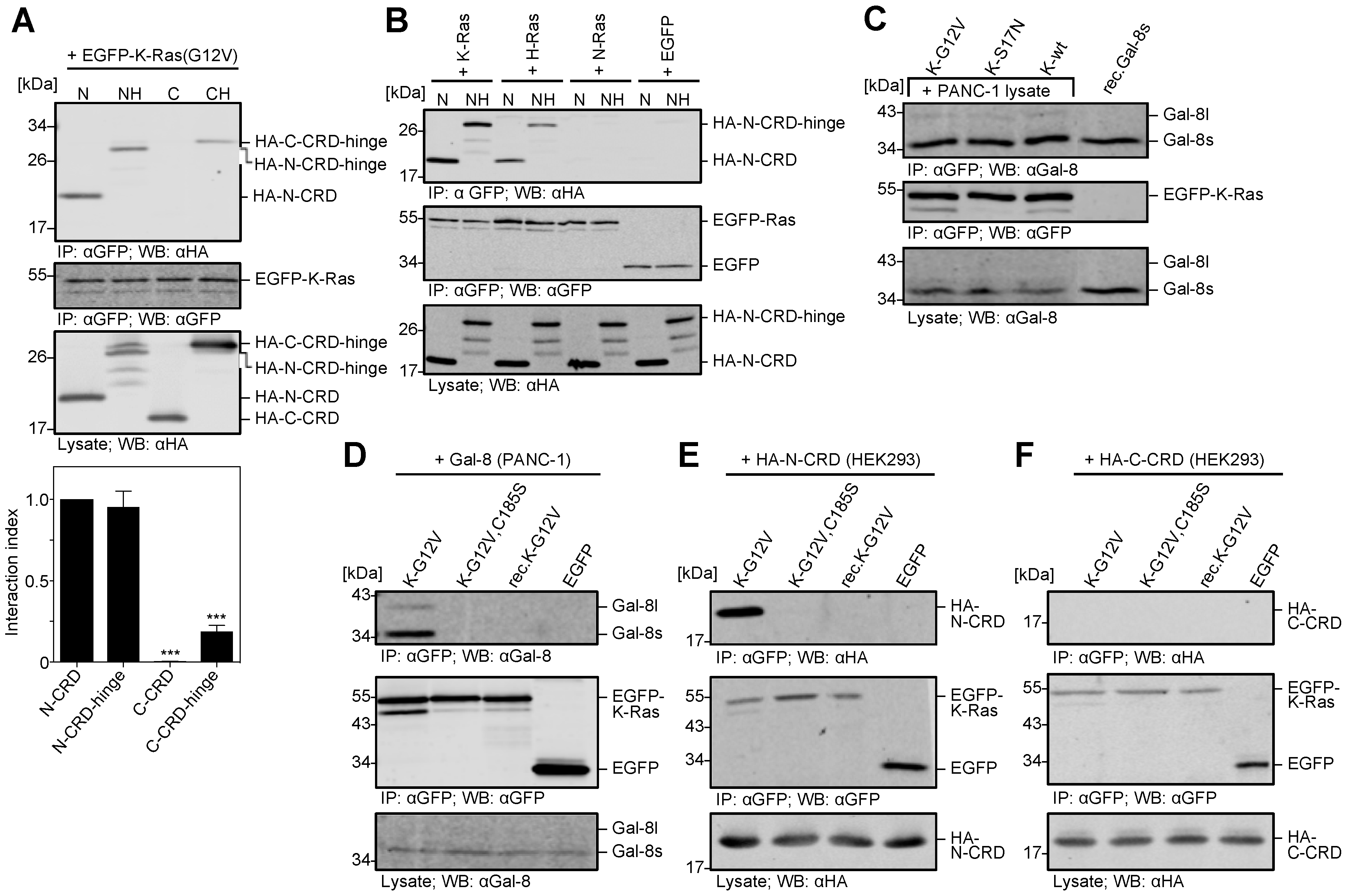 Cancers 12 00030 g005
