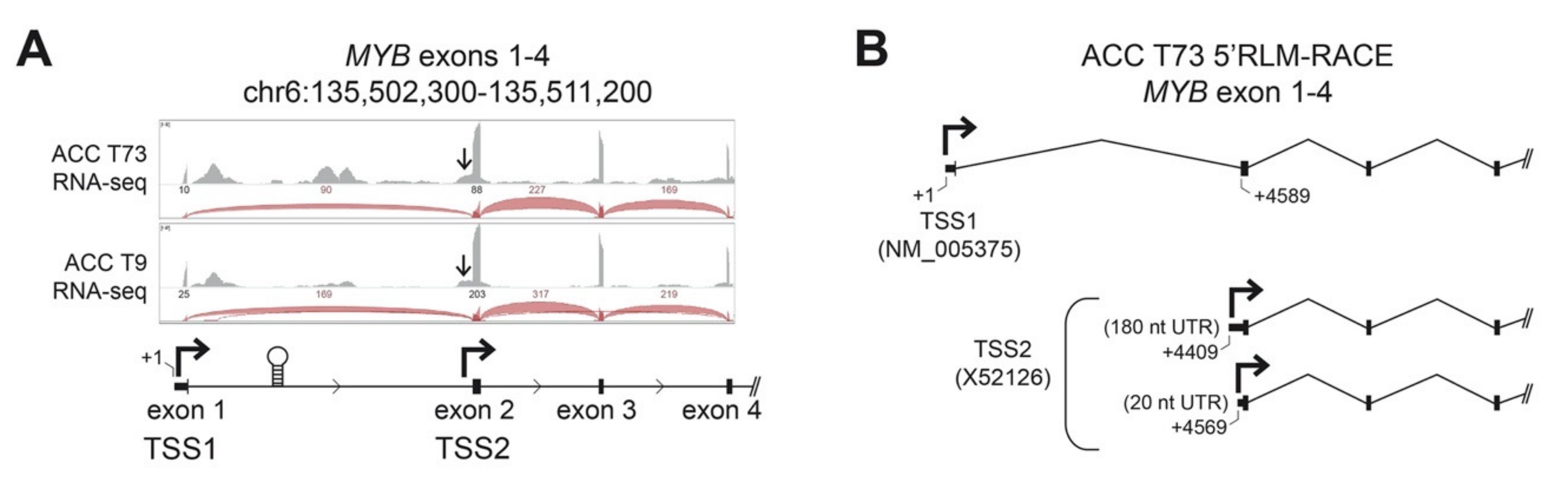 Cancers 12 00045 g001