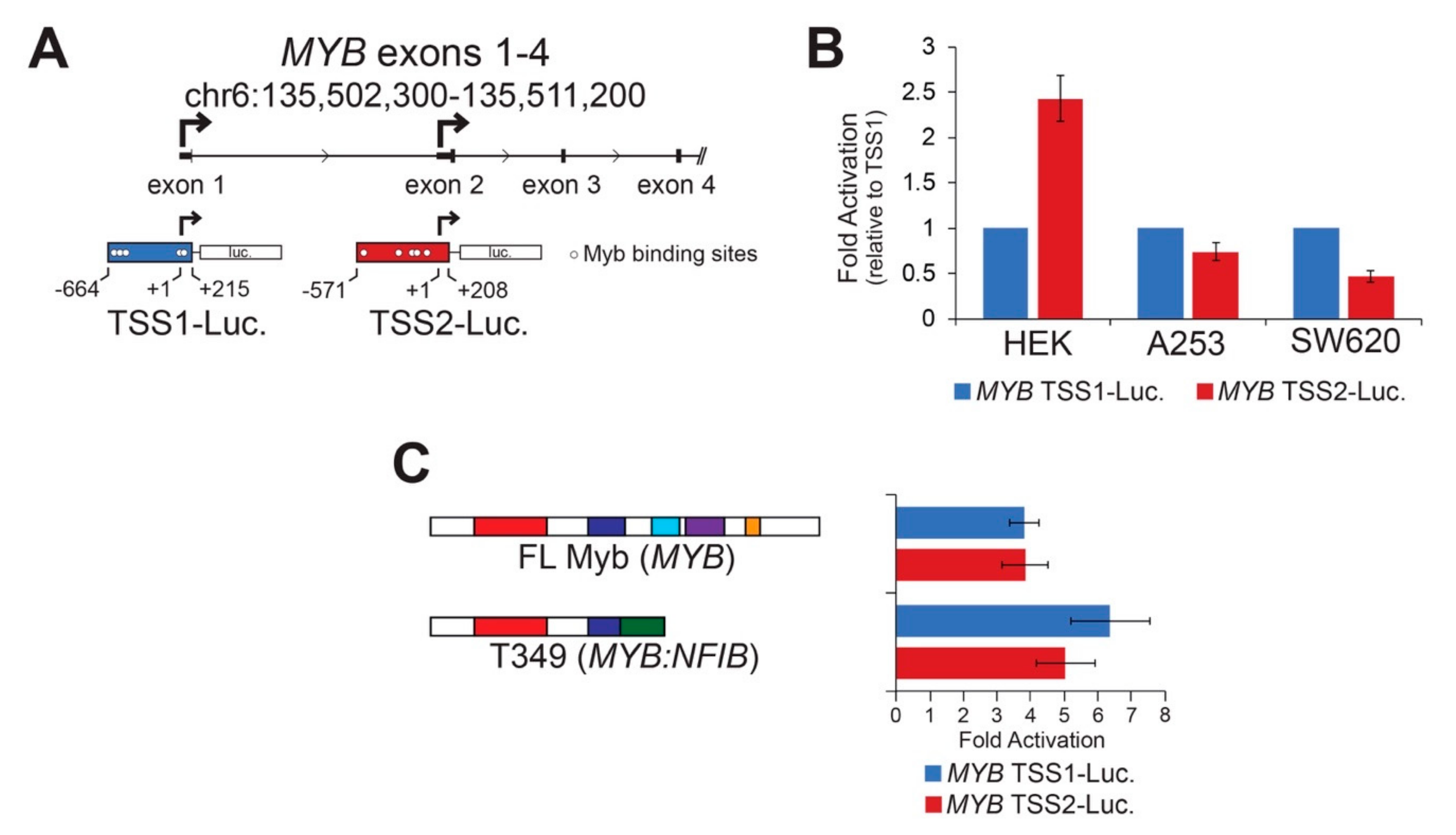 Cancers 12 00045 g002