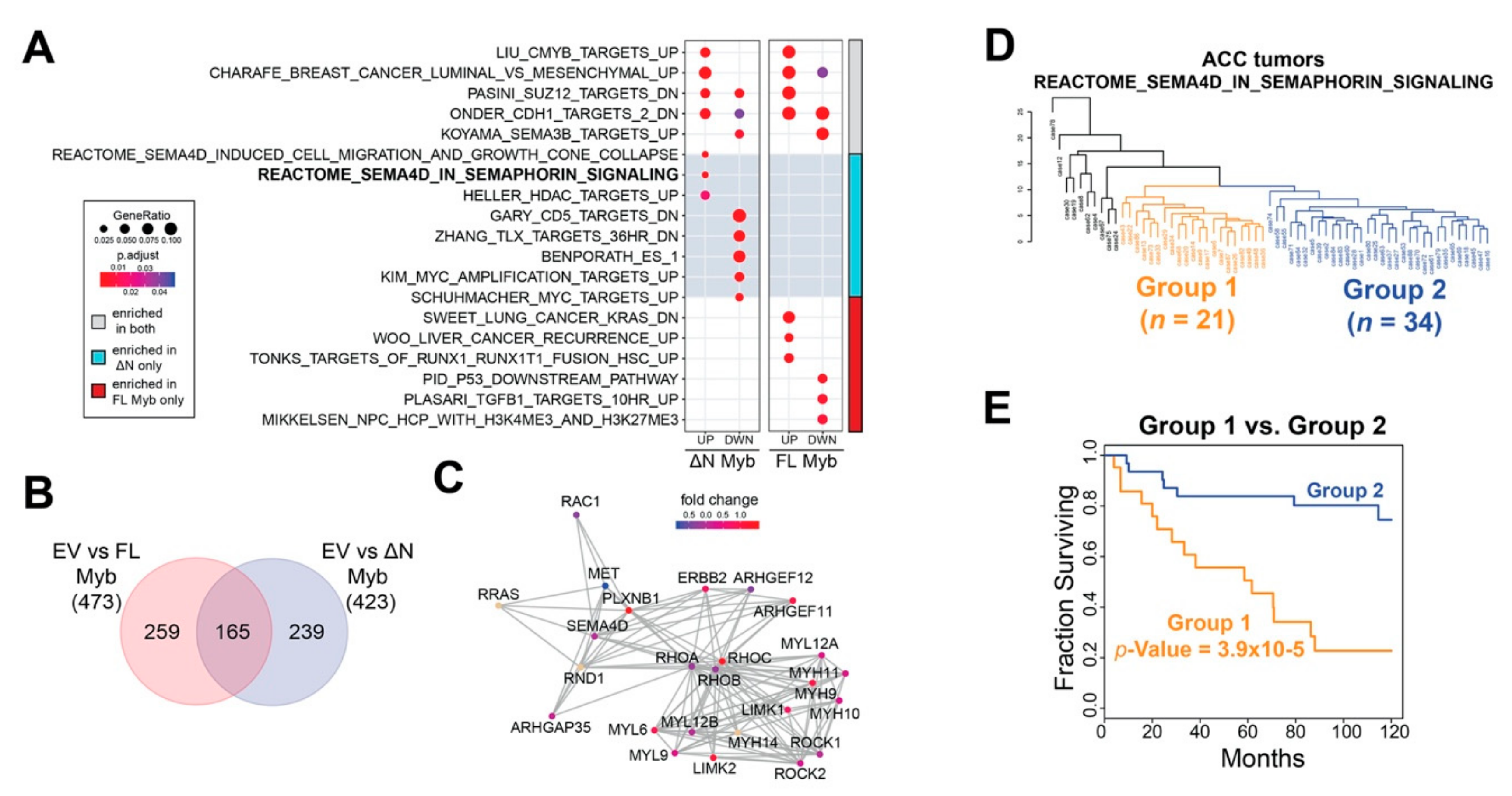 Cancers 12 00045 g006