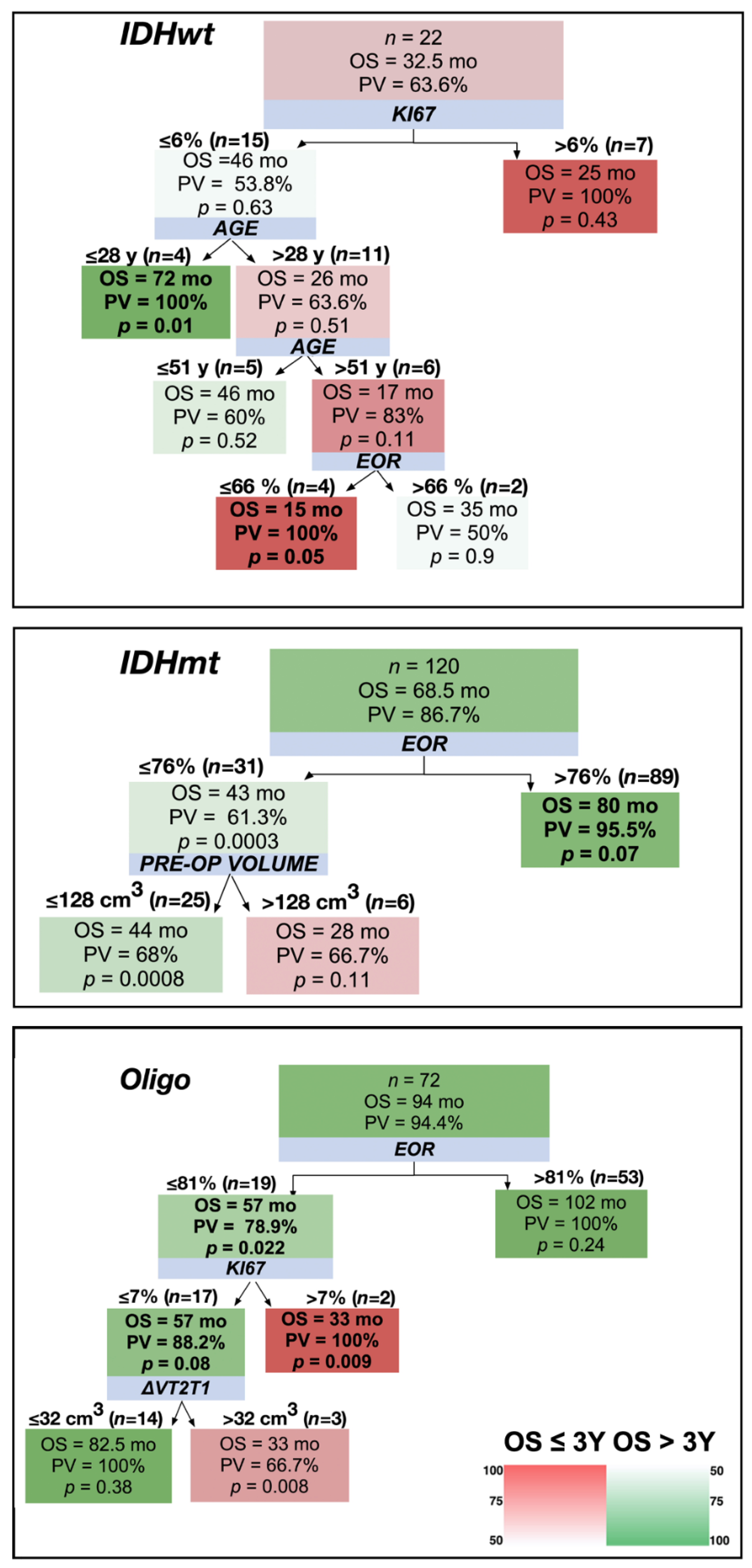 Cancers Free Full Text Application Of An Artificial Intelligence Algorithm To Prognostically Stratify Grade Ii Gliomas Html