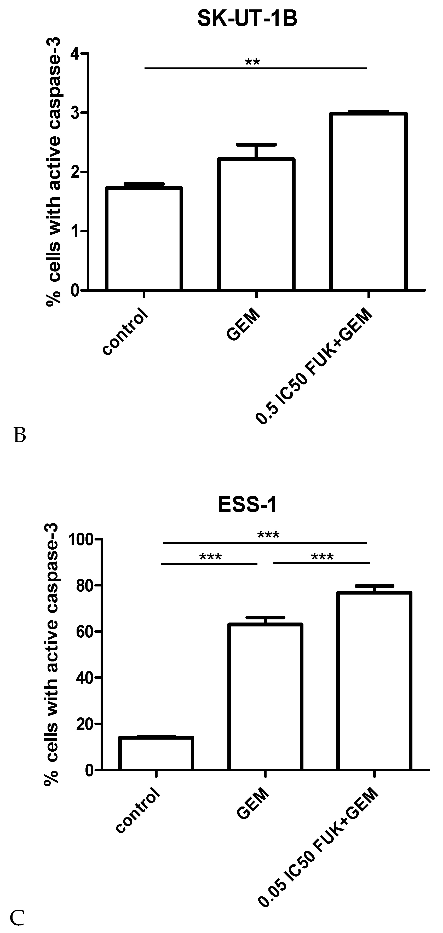 Cancers 12 00107 g006b Cancers 12 00107 g006b