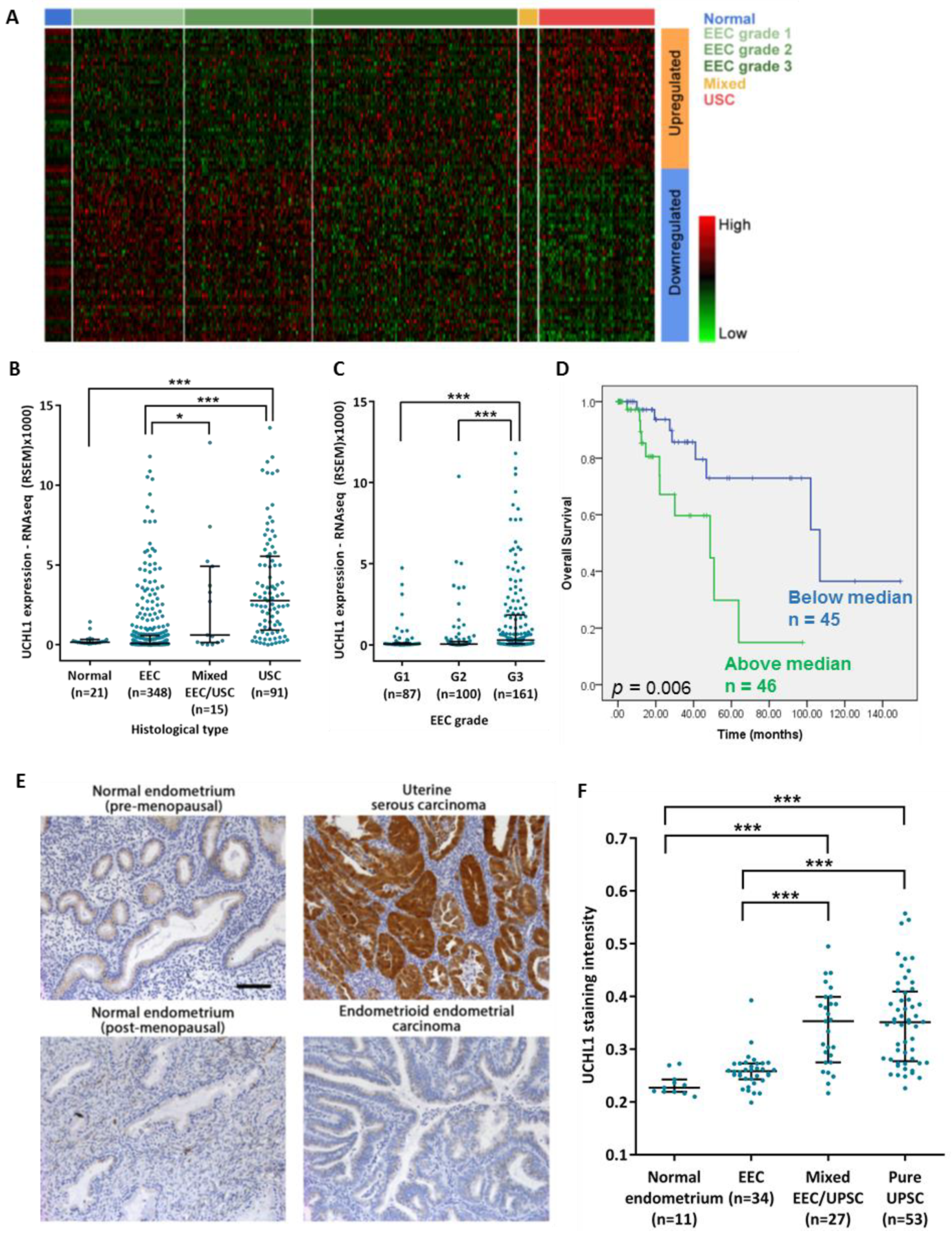 Cancers 12 00118 g001 Cancers 12 00118 g001