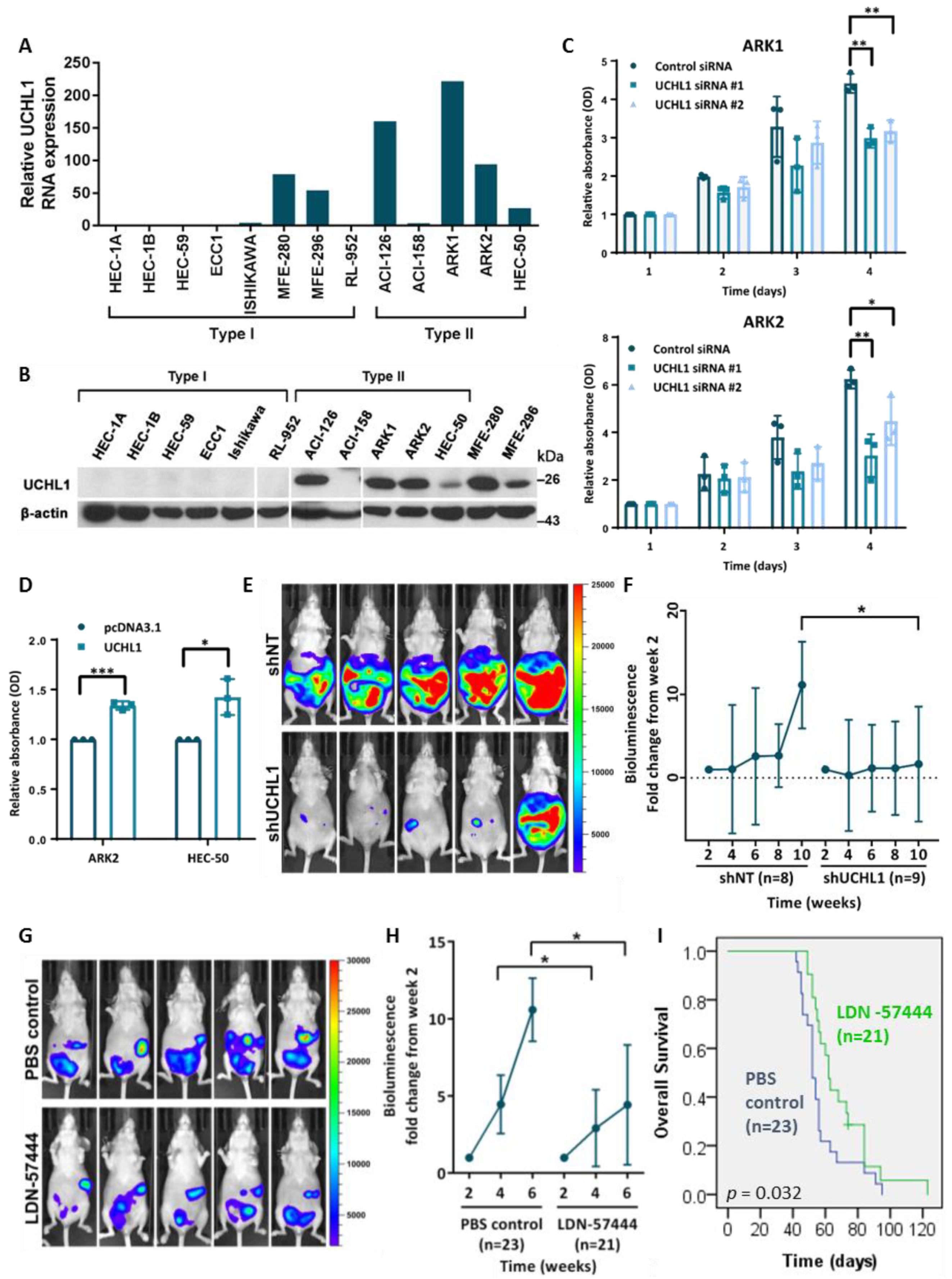 Cancers 12 00118 g002 Cancers 12 00118 g002