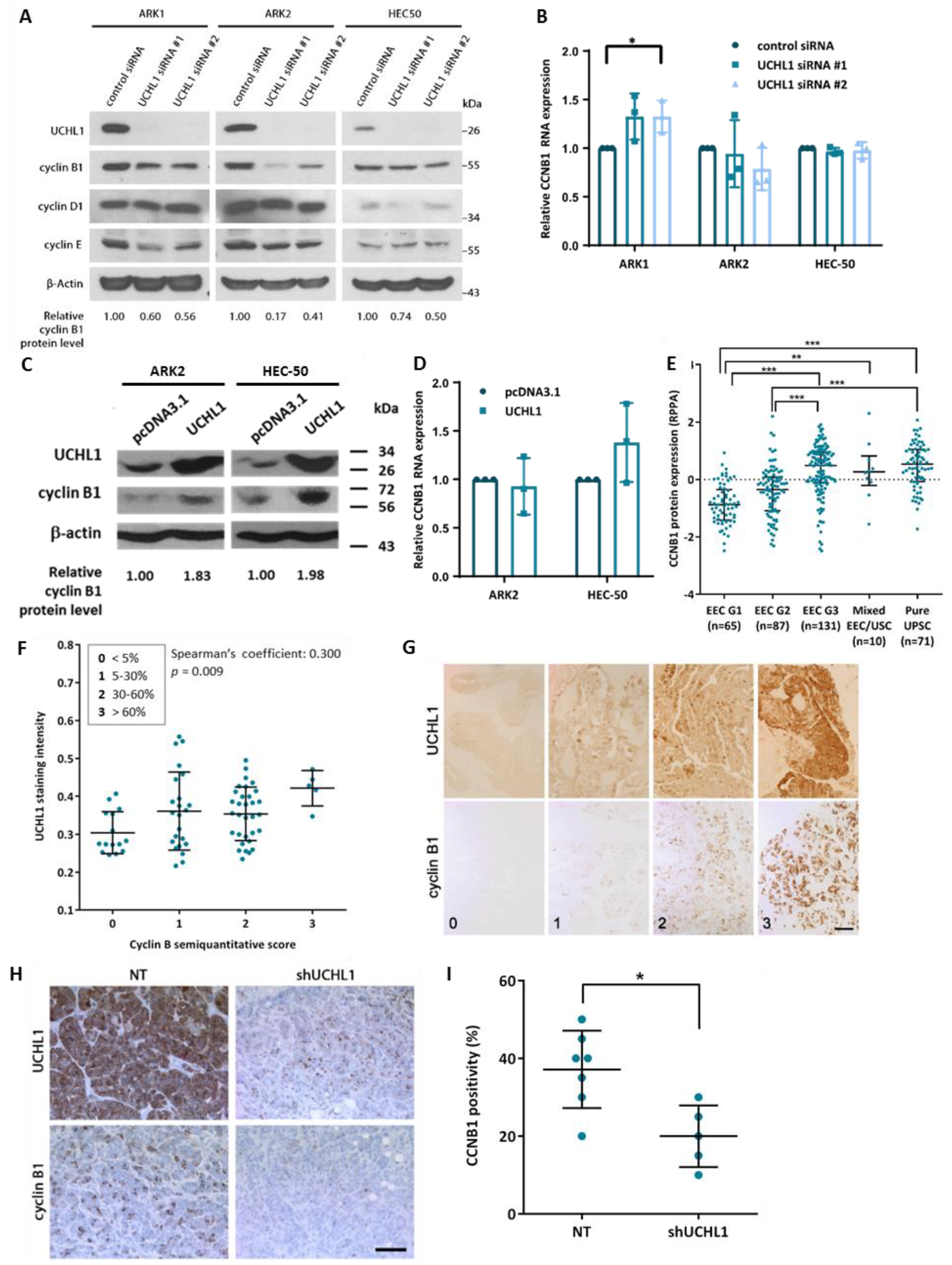 Cancers 12 00118 g003 Cancers 12 00118 g003