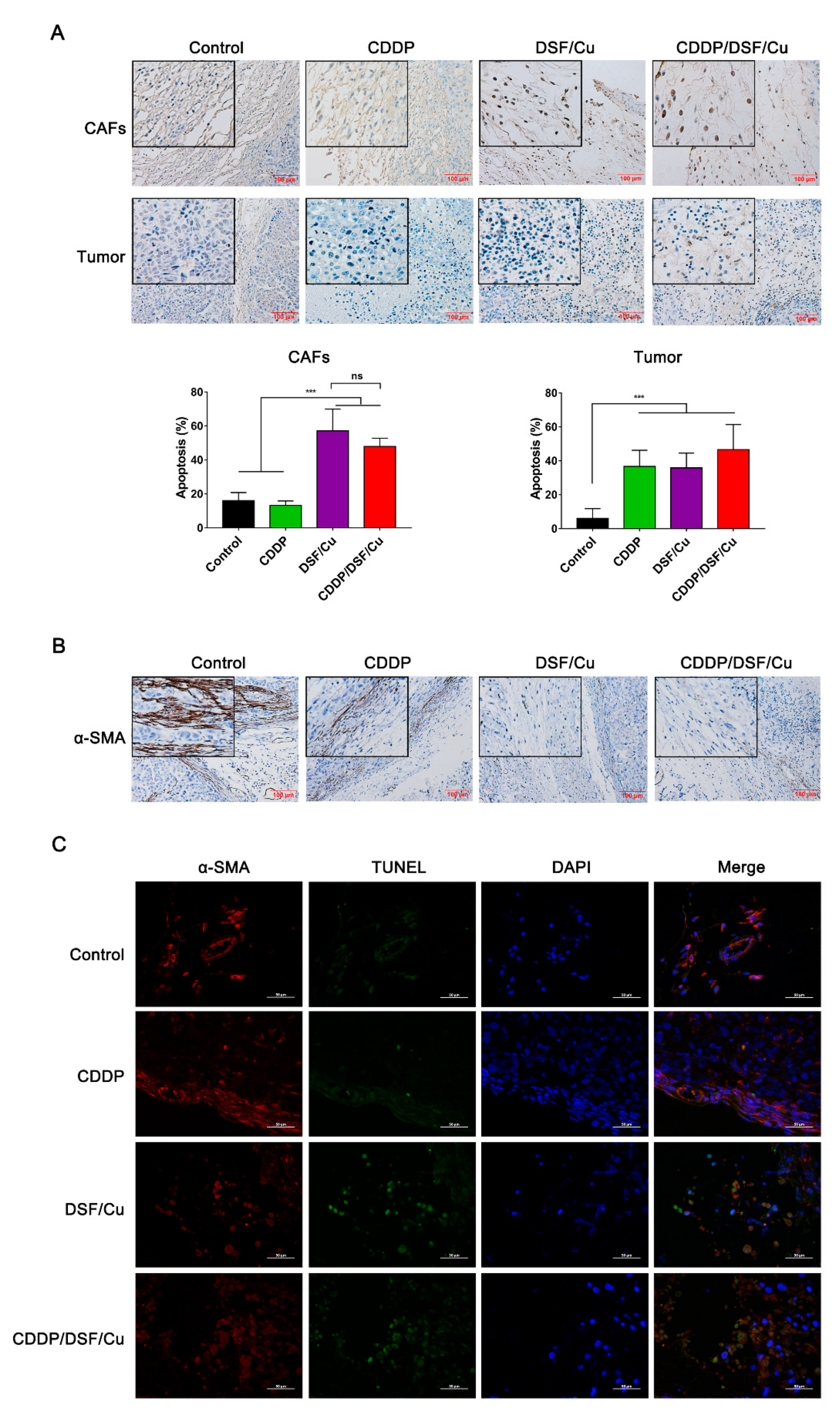 Cancers 12 00138 g009 Cancers 12 00138 g009