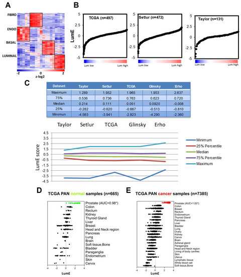 https://www.mdpi.com/cancers/cancers-12-00176/article_deploy/html/images/cancers-12-00176-g001-550.jpg