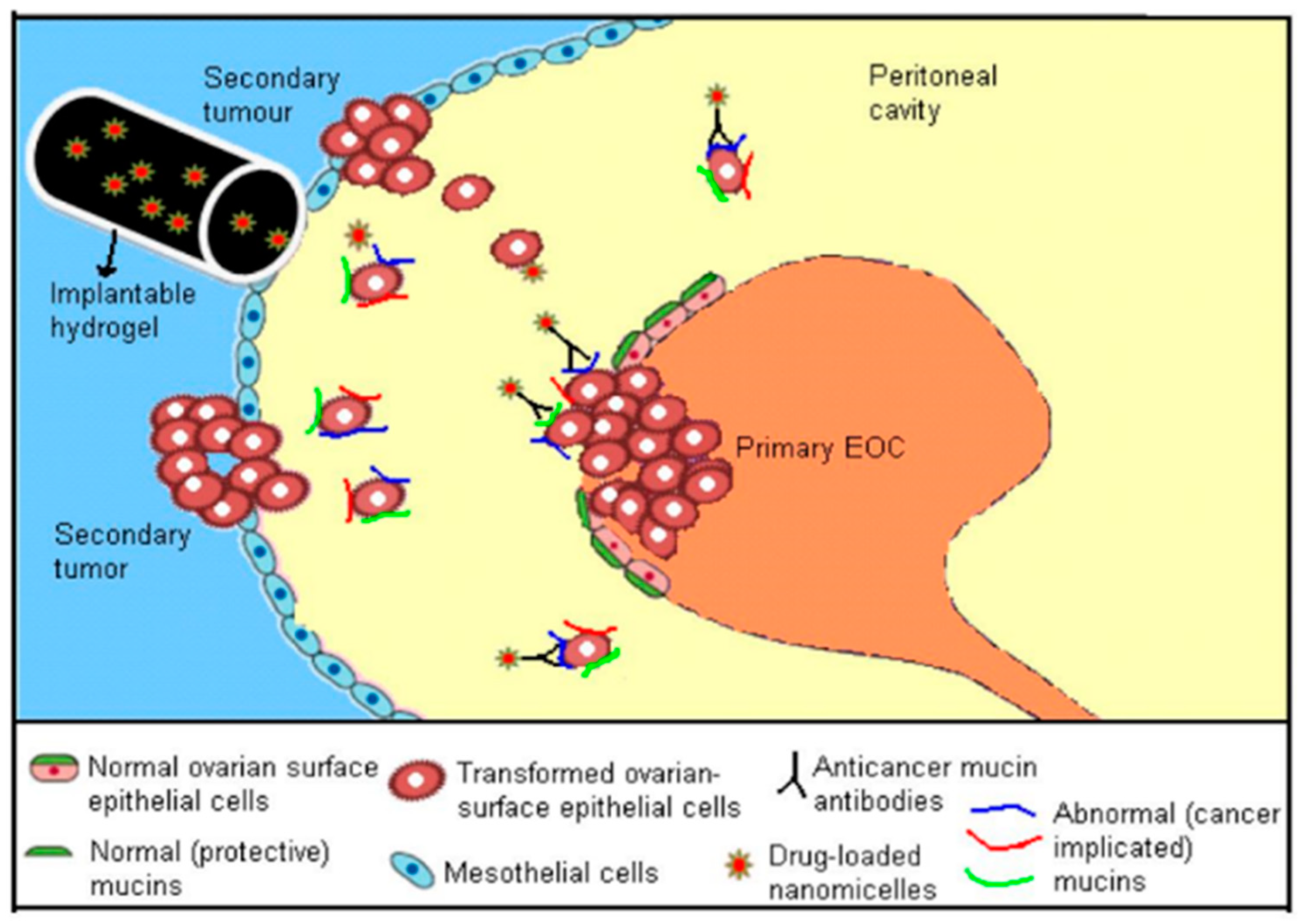 Cancers 12 00213 g001 Cancers 12 00213 g001