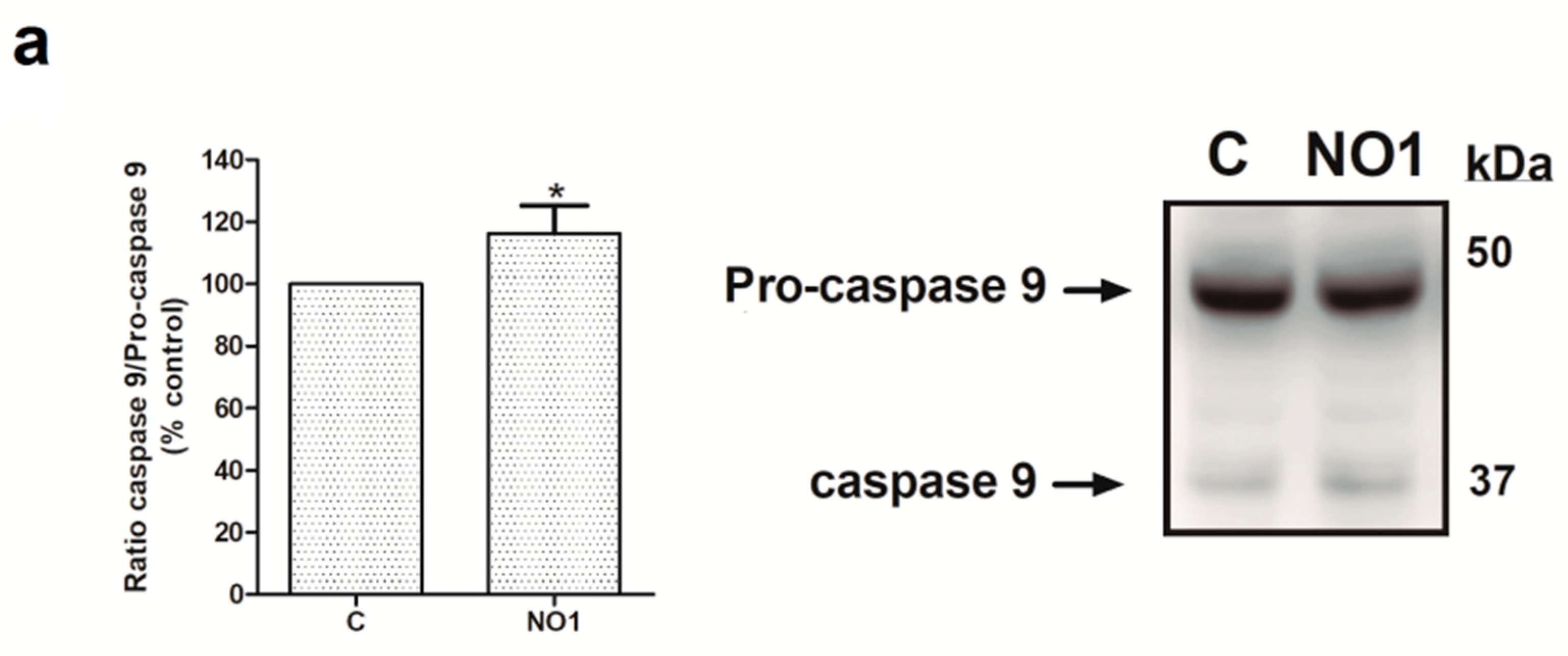 Cancers 12 00257 g005a