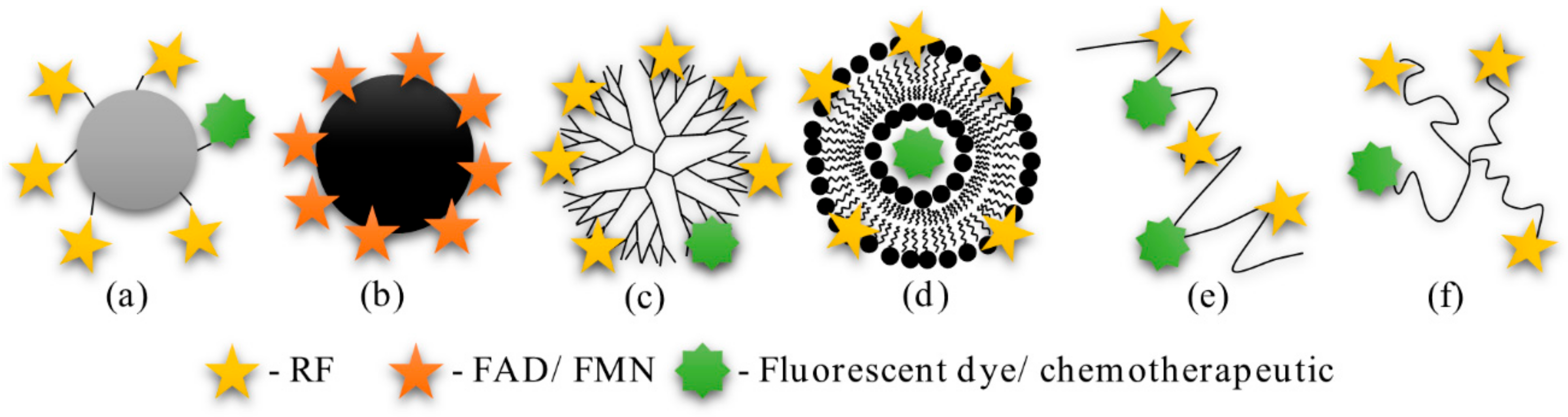 Cancers 12 00295 g003 Cancers 12 00295 g003