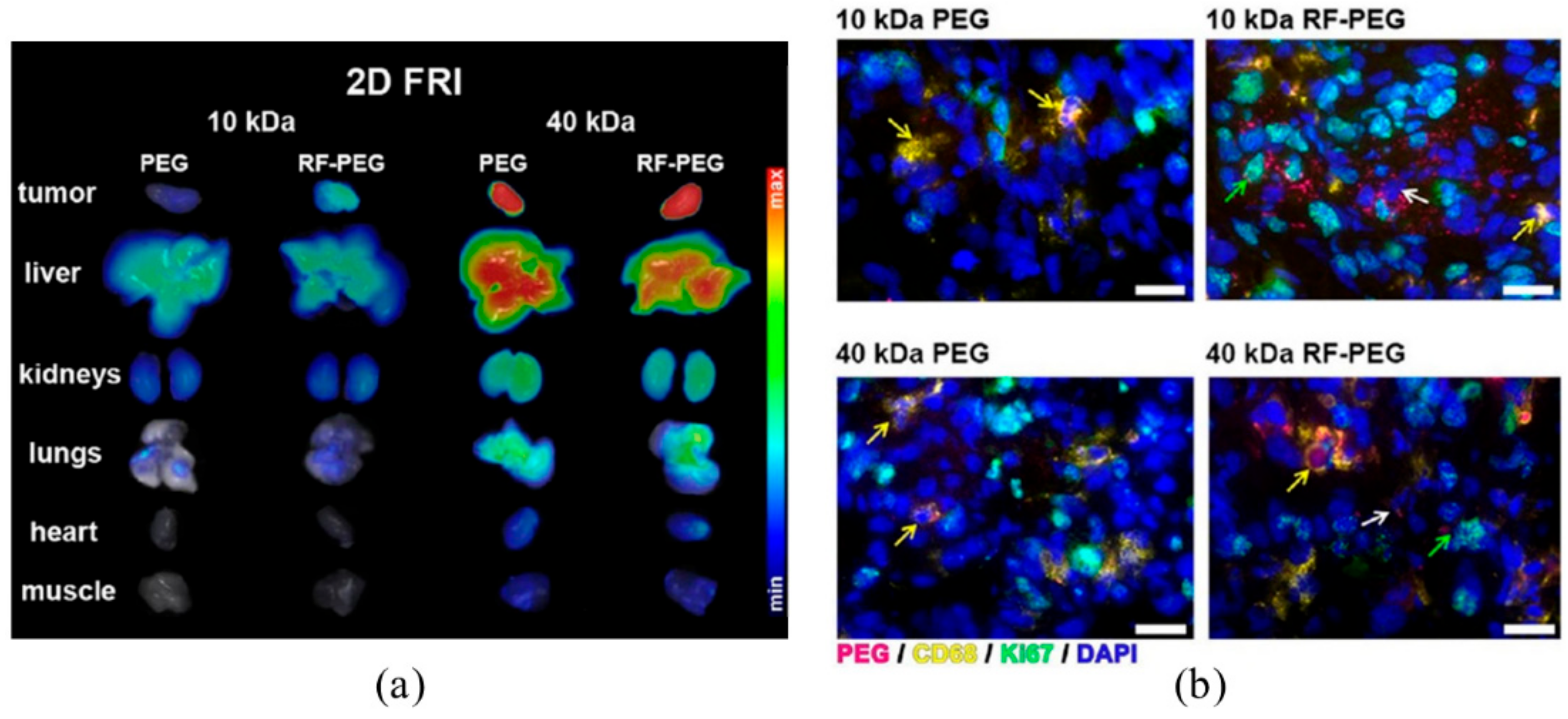 Cancers 12 00295 g007 Cancers 12 00295 g007