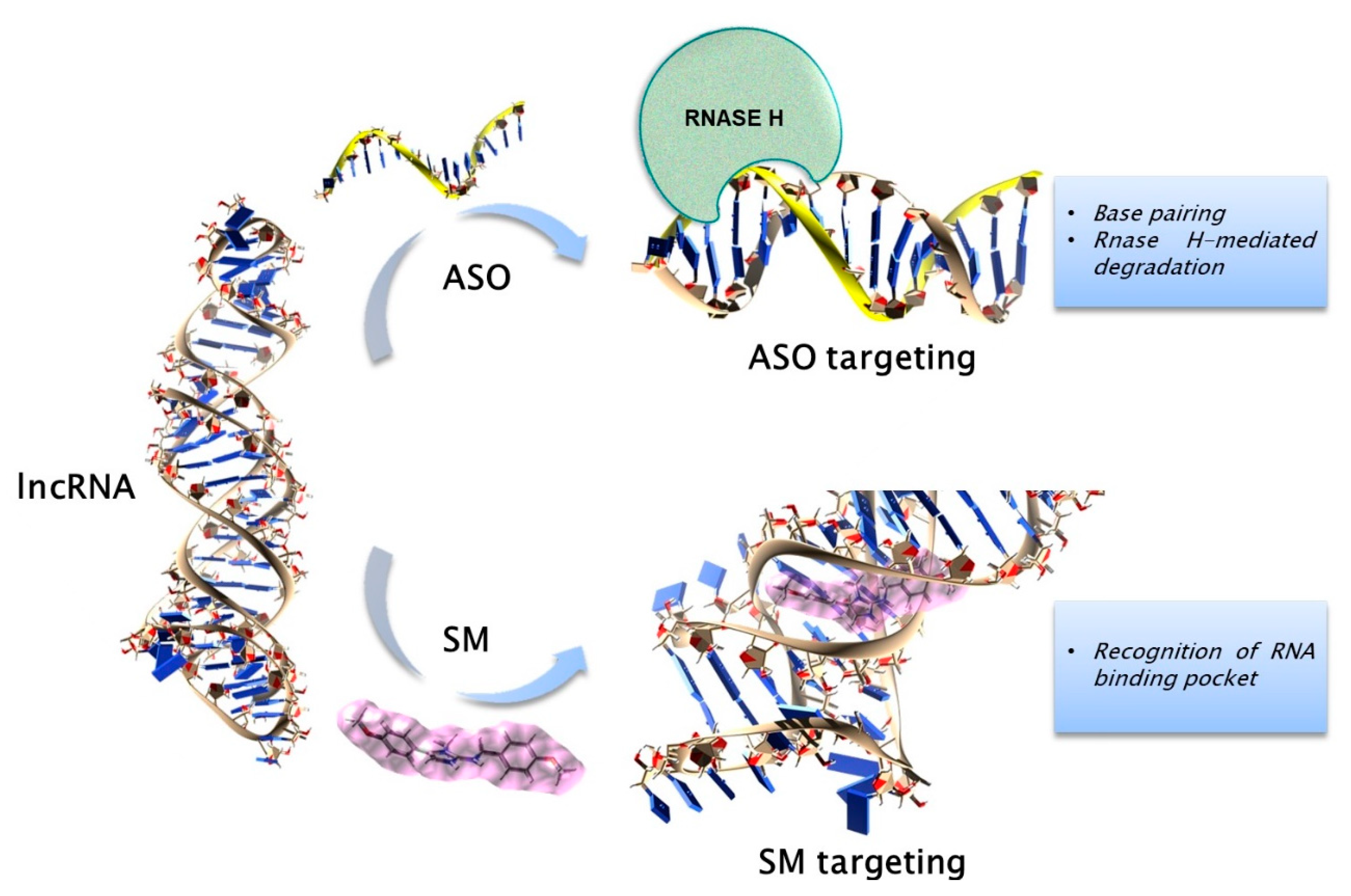 Cancers 12 00320 g002
