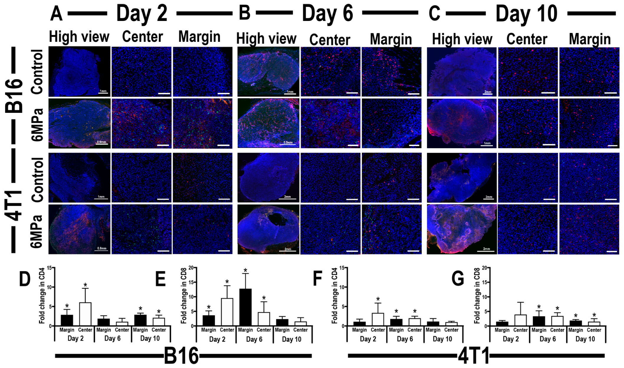 Cancers 12 00350 g005