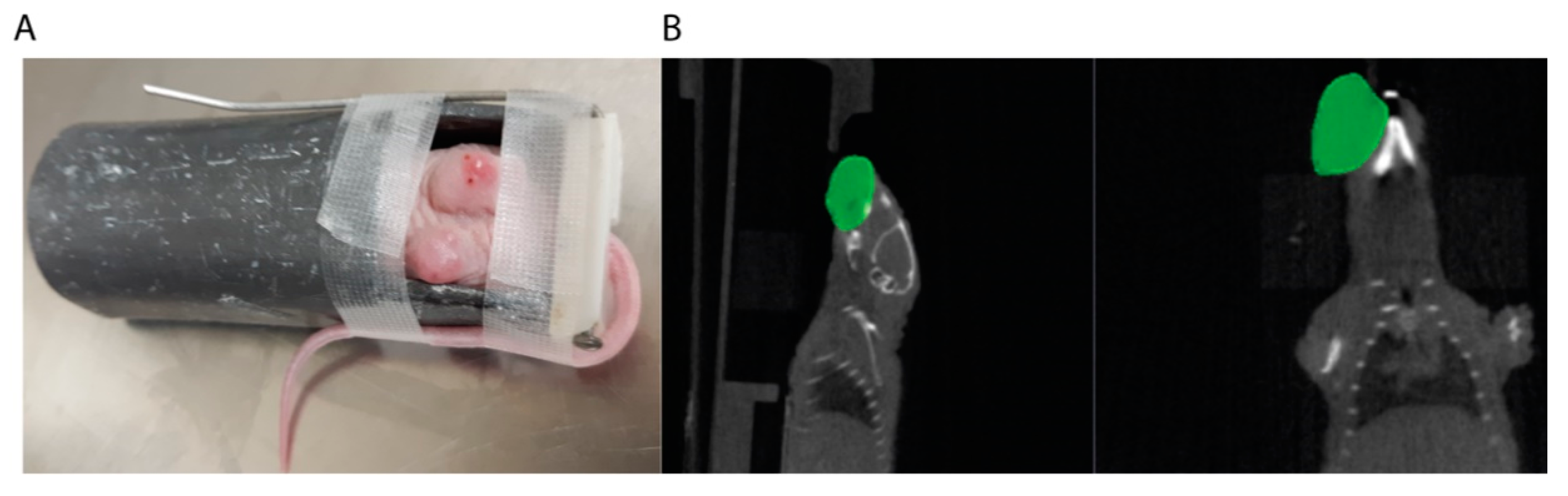 Cancers 12 00419 g003