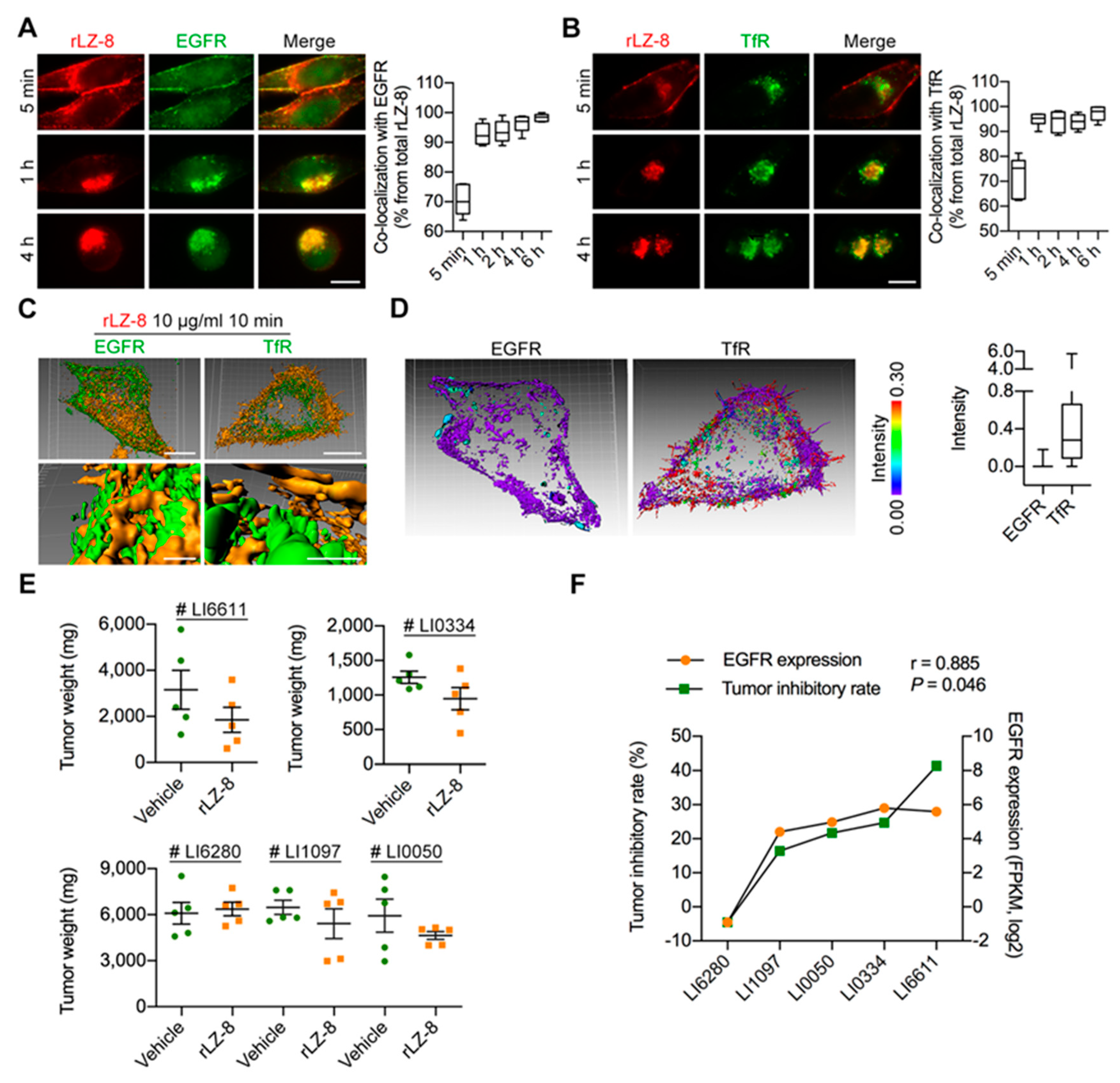 Cancers 12 00456 g003