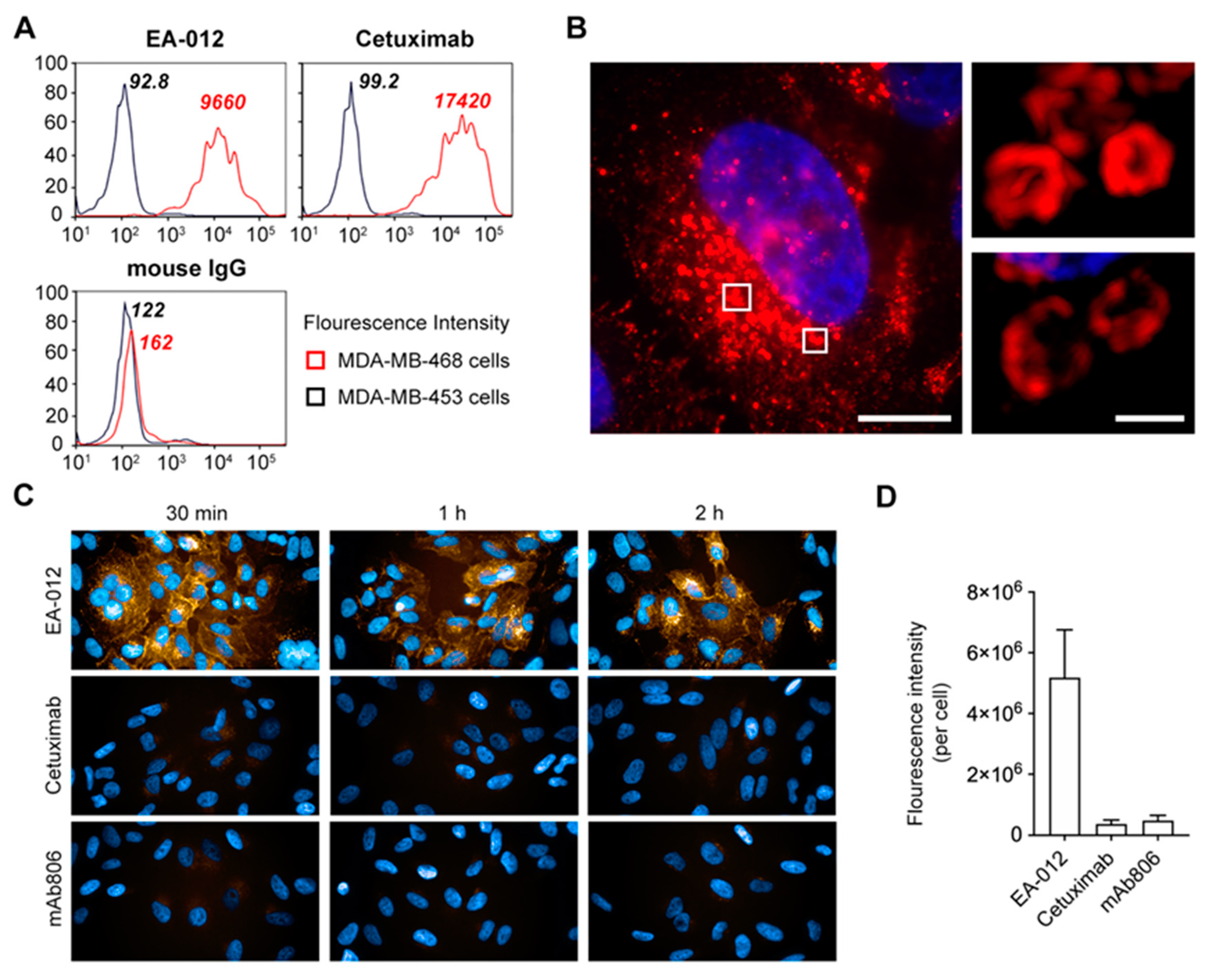 Cancers 12 00456 g005