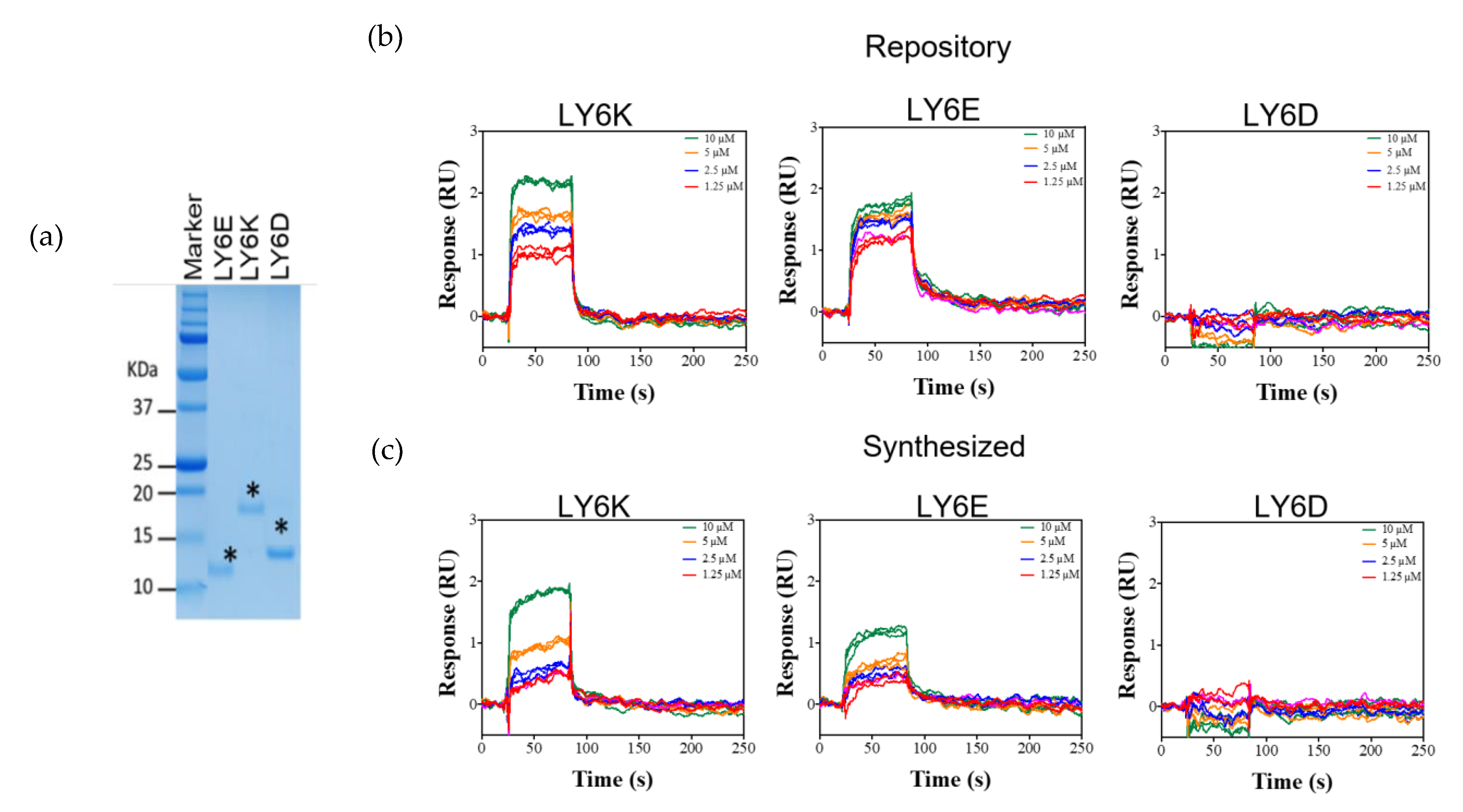Cancers 12 00509 g004