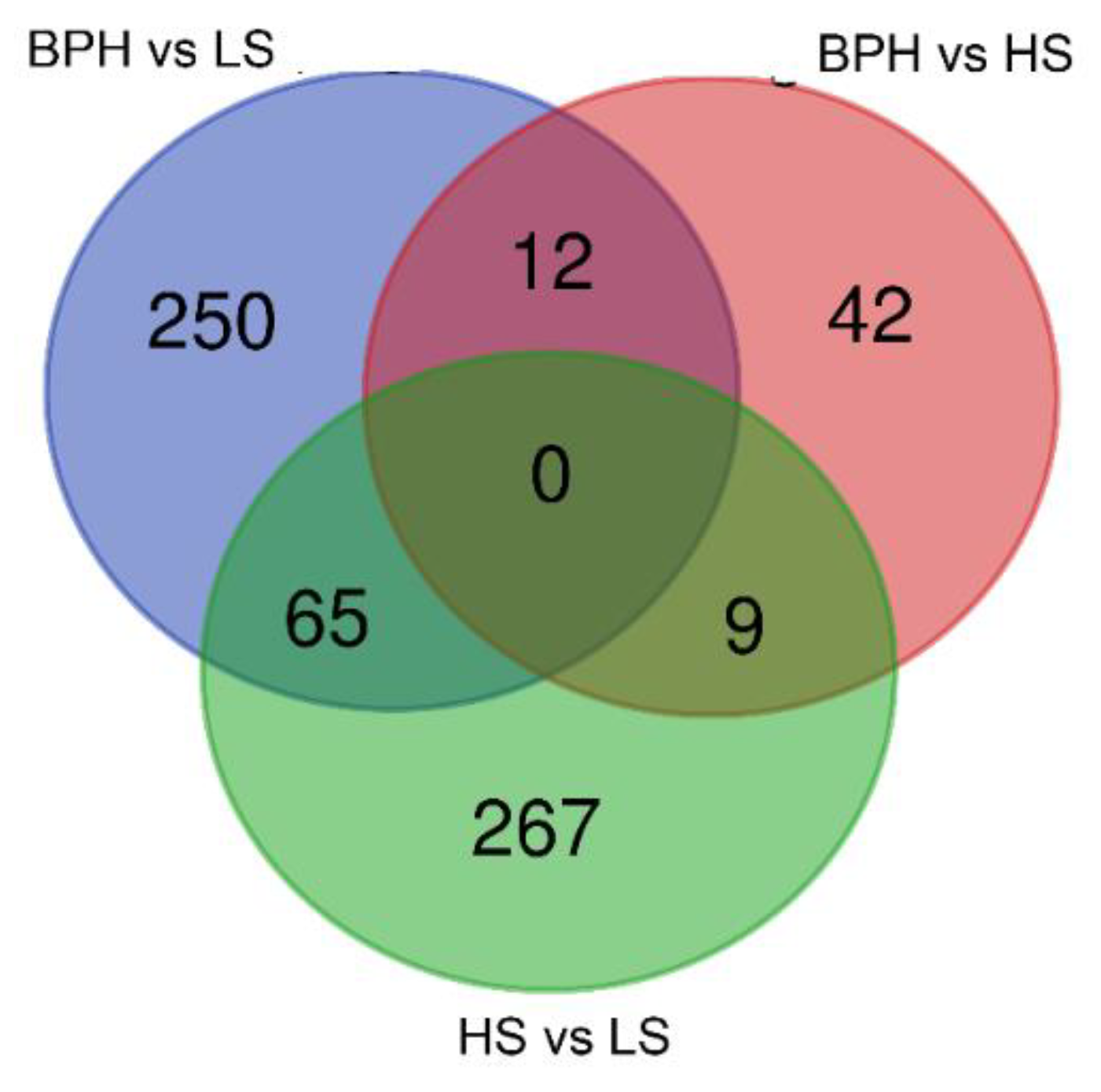 Cancers 12 00513 g001