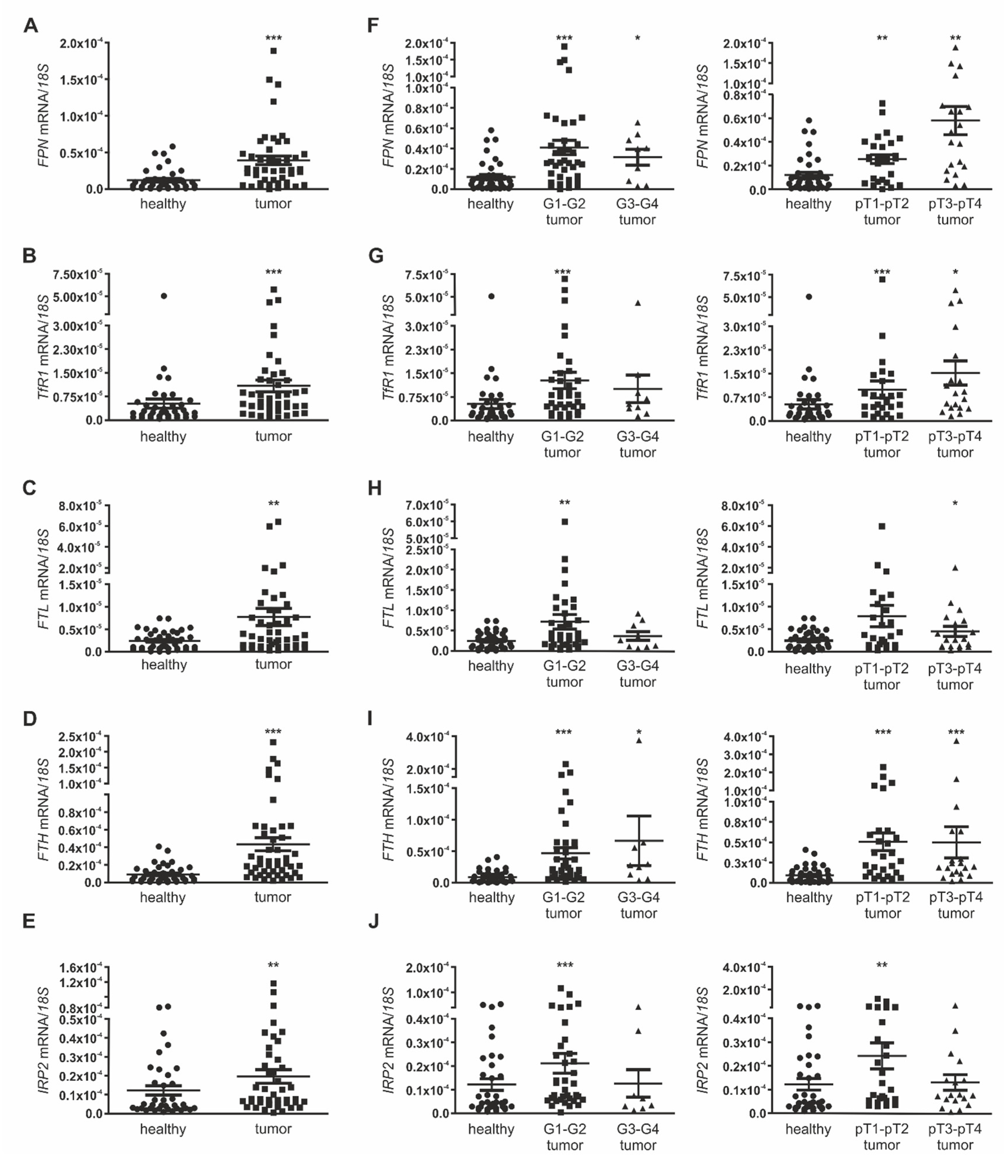 Cancers 12 00530 g001 Cancers 12 00530 g001