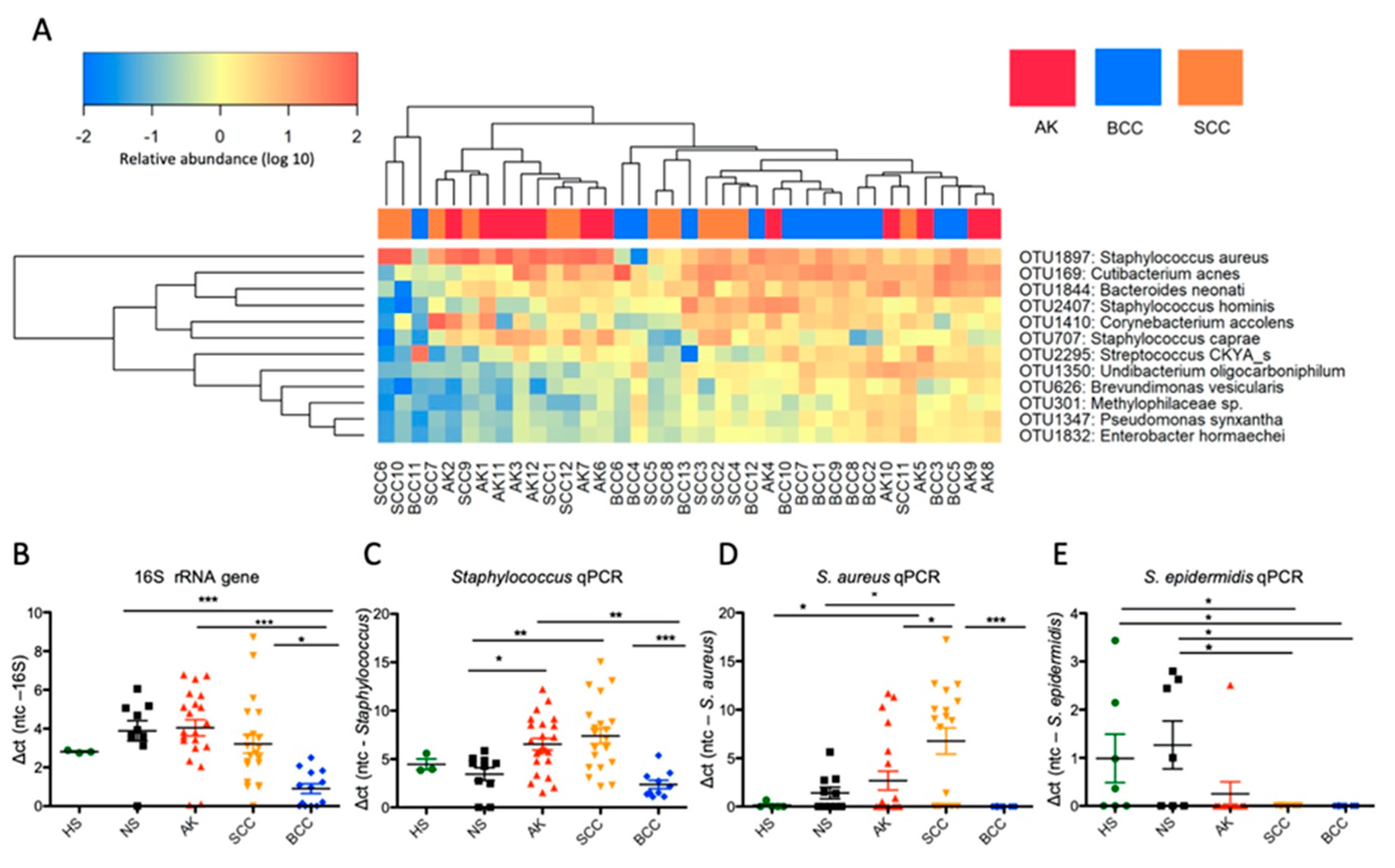 Cancers 12 00541 g003 Cancers 12 00541 g003