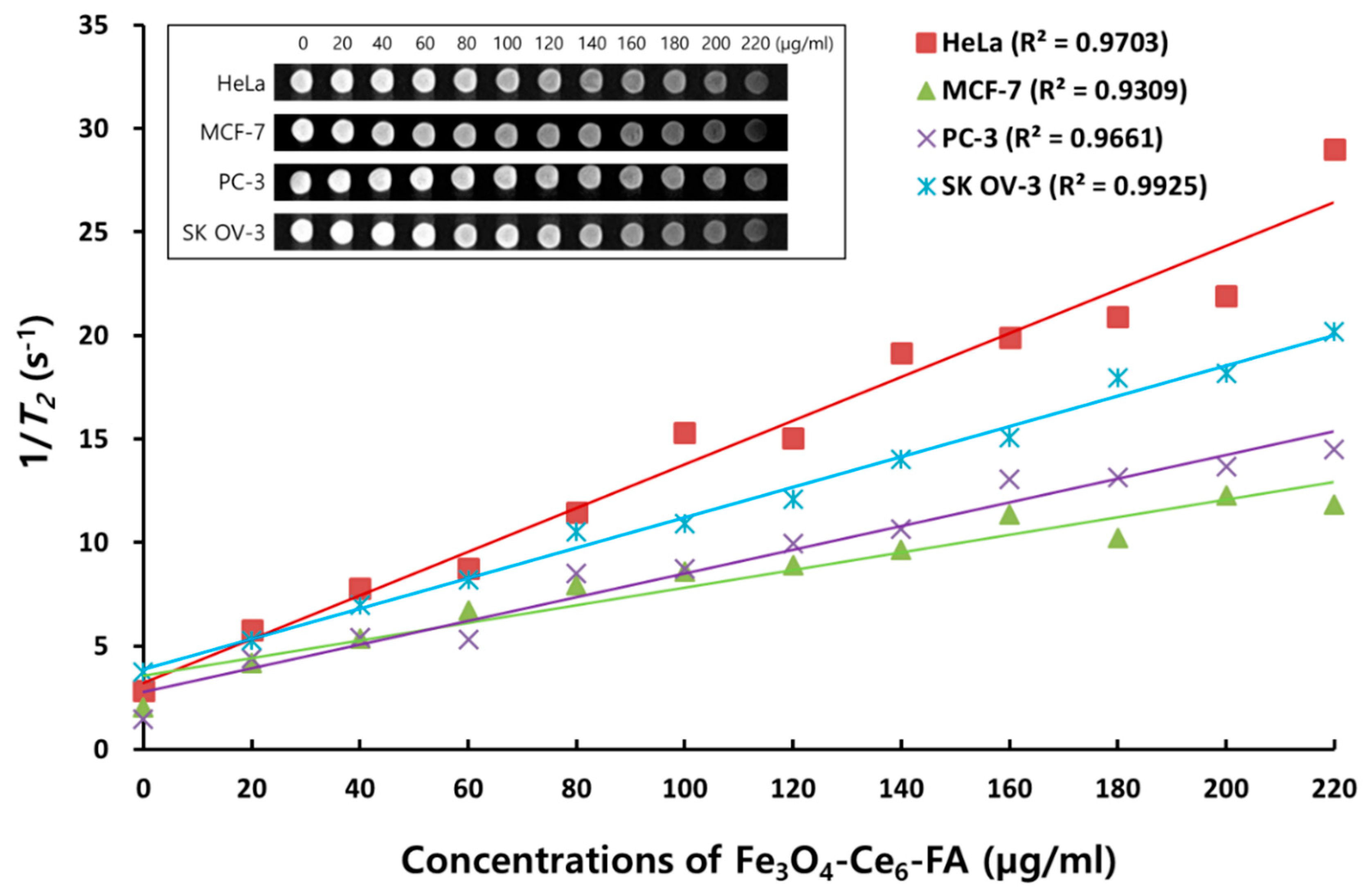 Cancers 12 00571 g003