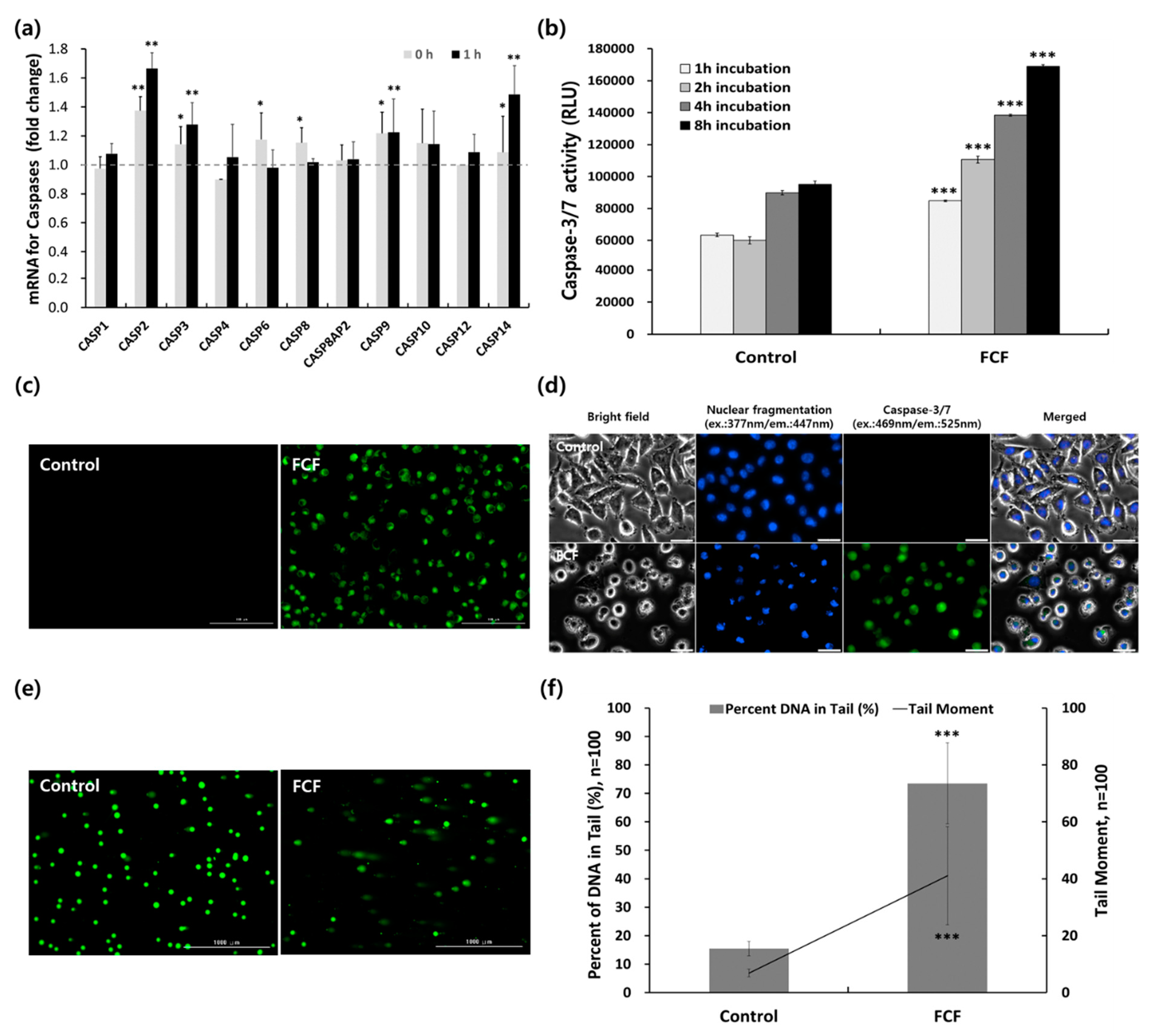 Cancers 12 00571 g007