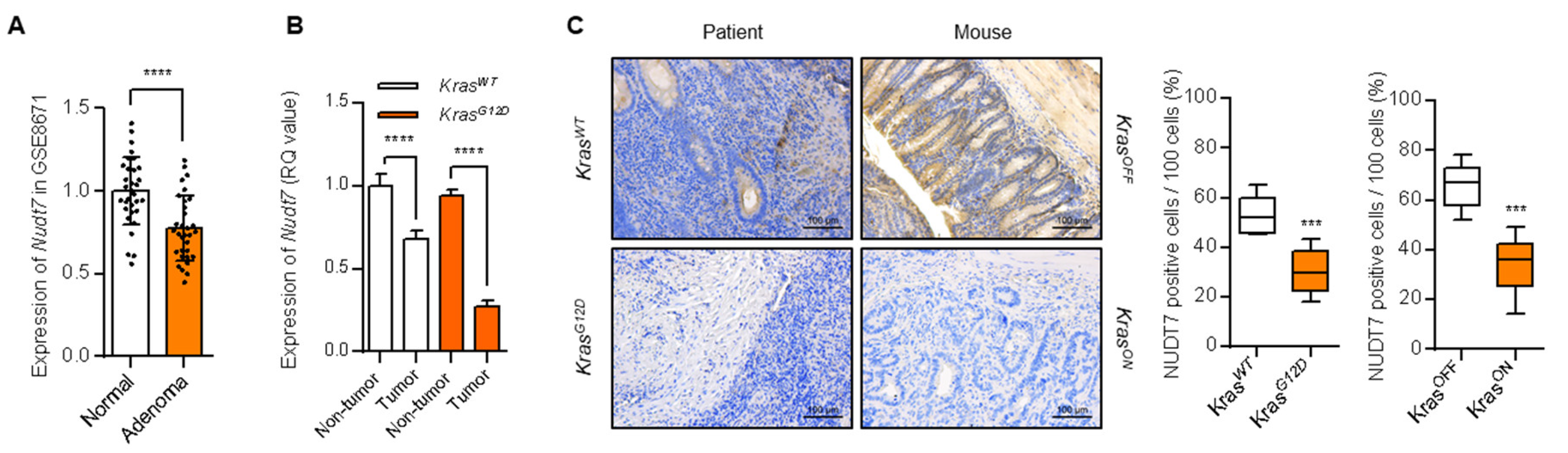 Cancers 12 00576 g002