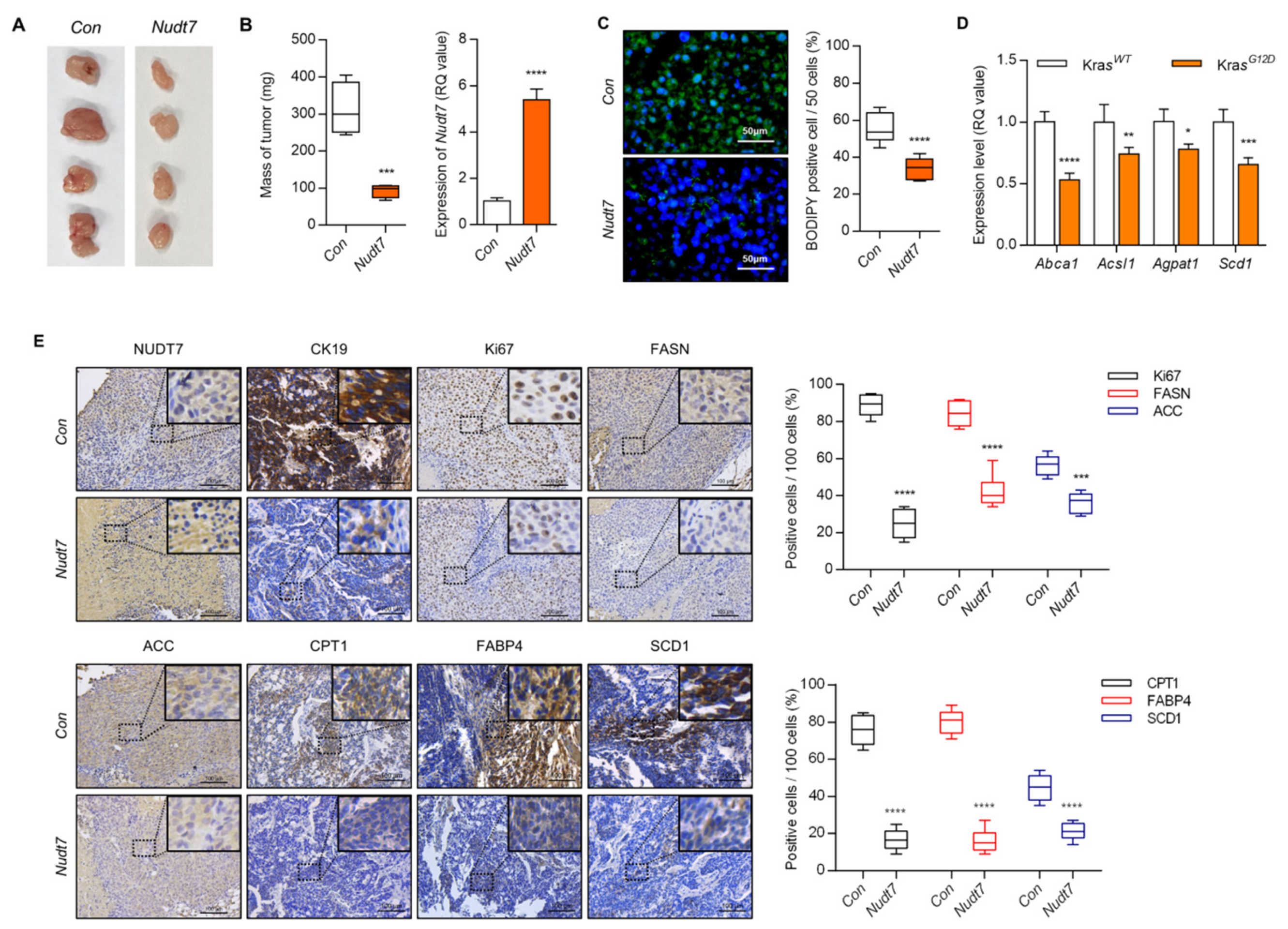 Cancers 12 00576 g003