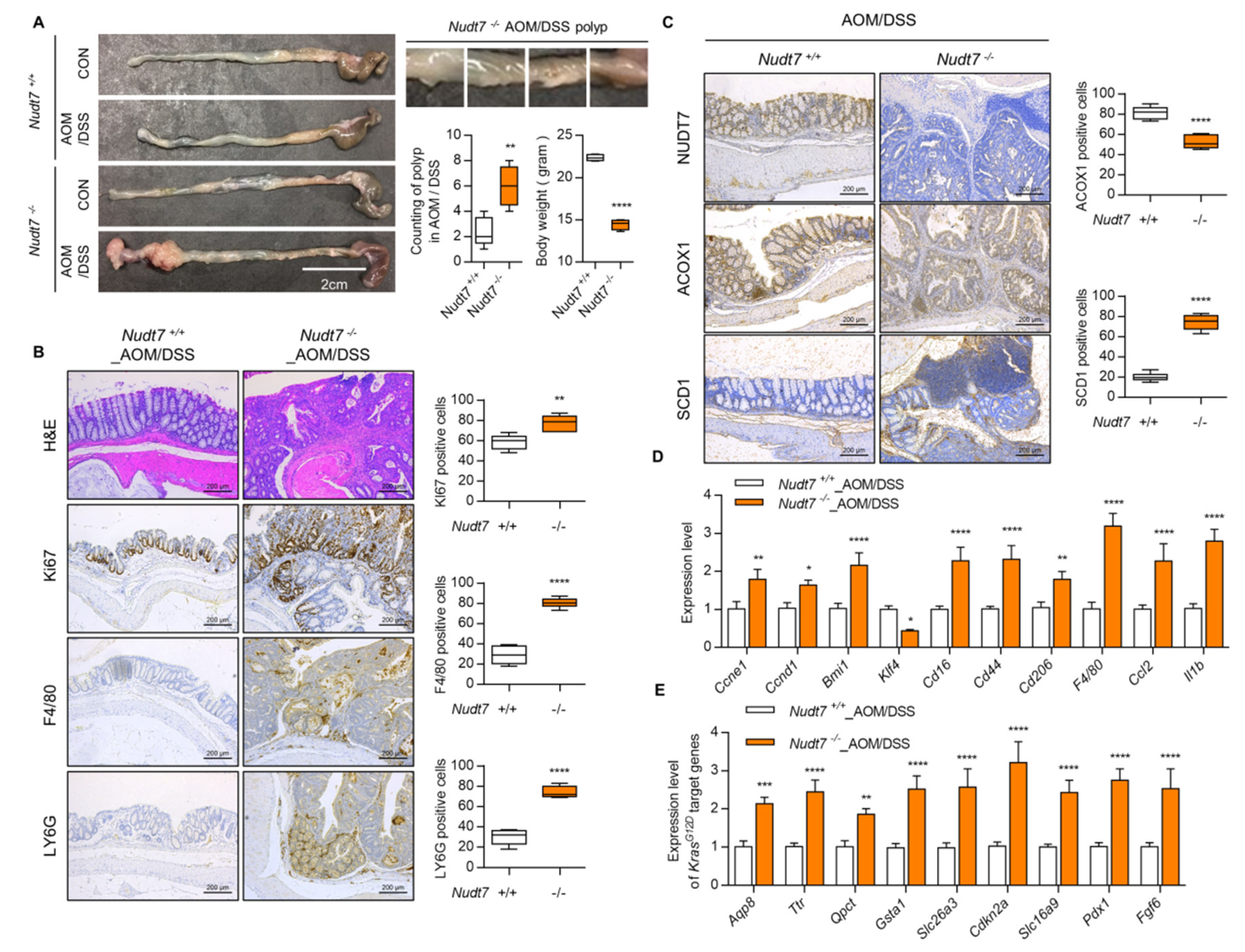 Cancers 12 00576 g004