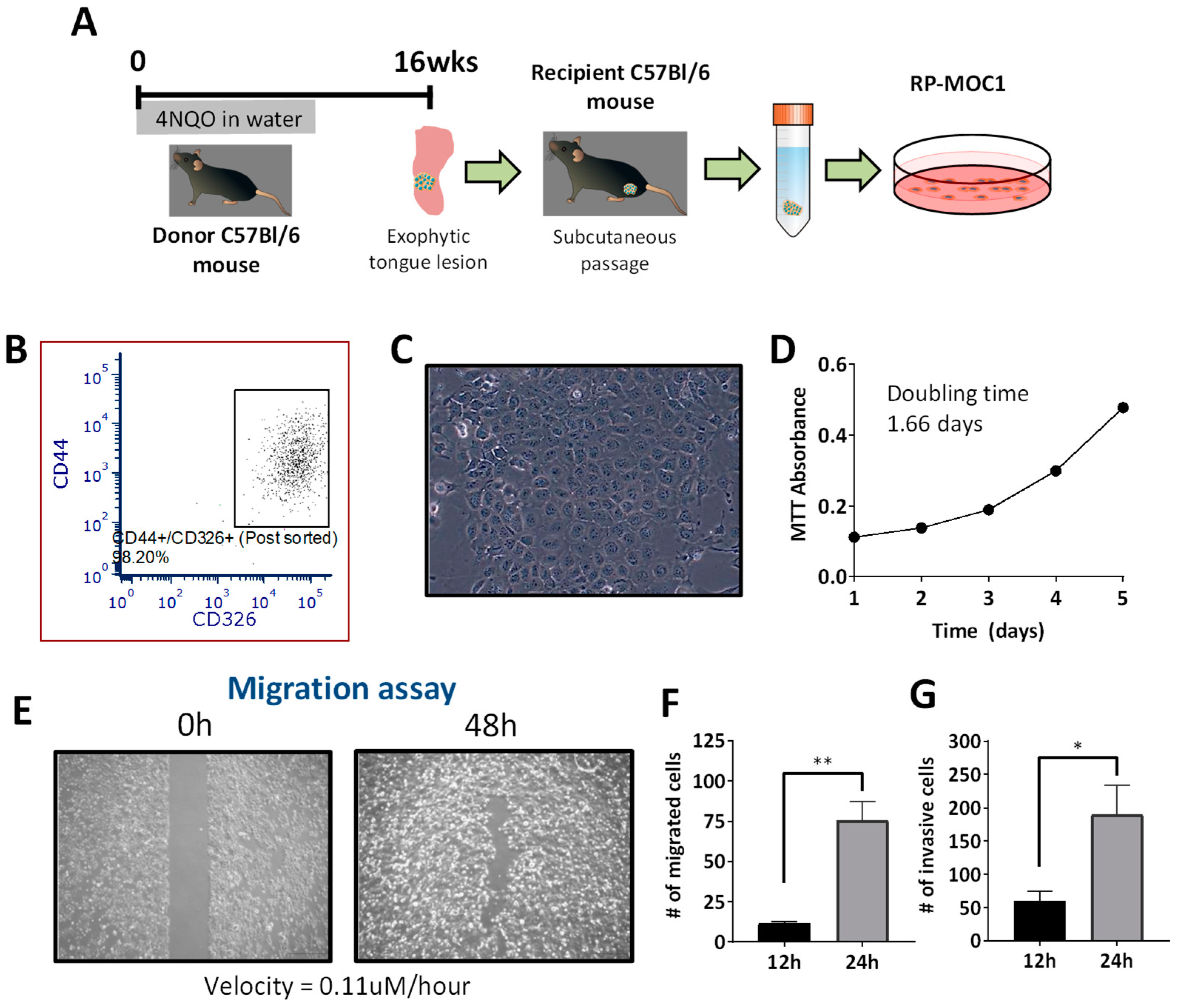 Cancers 12 00579 g001