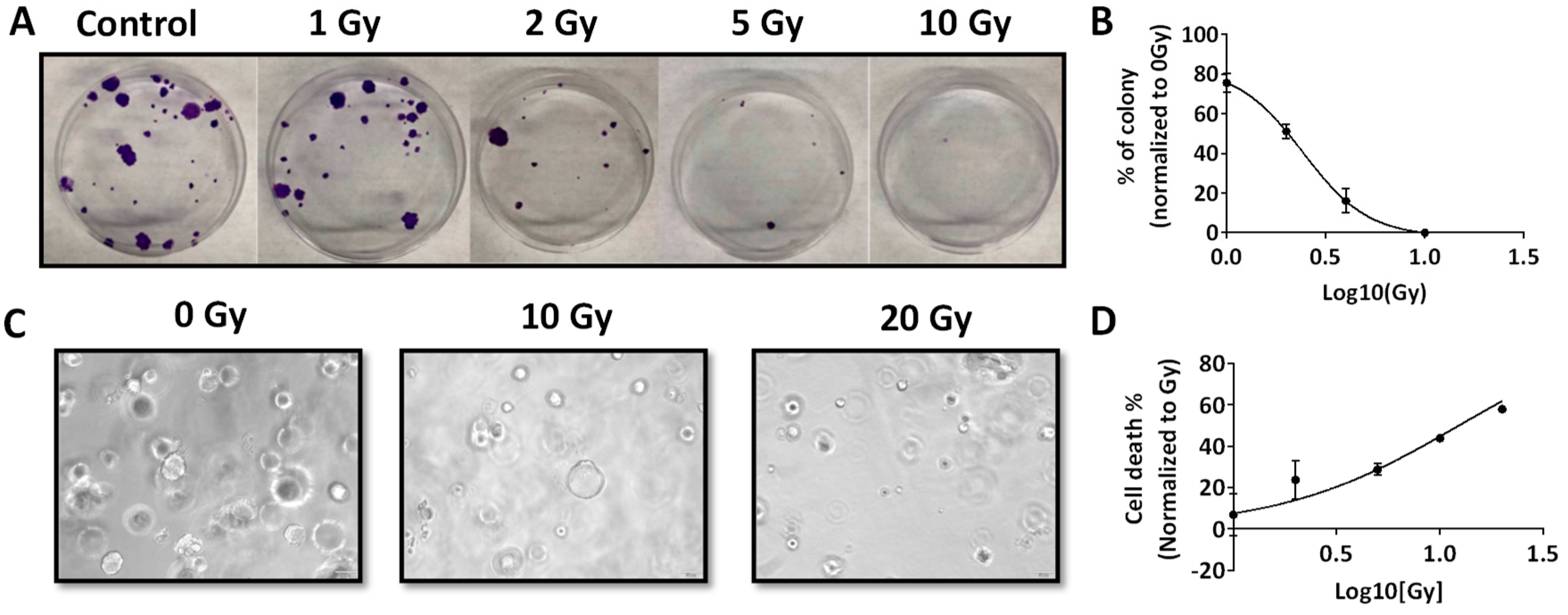 Cancers 12 00579 g002