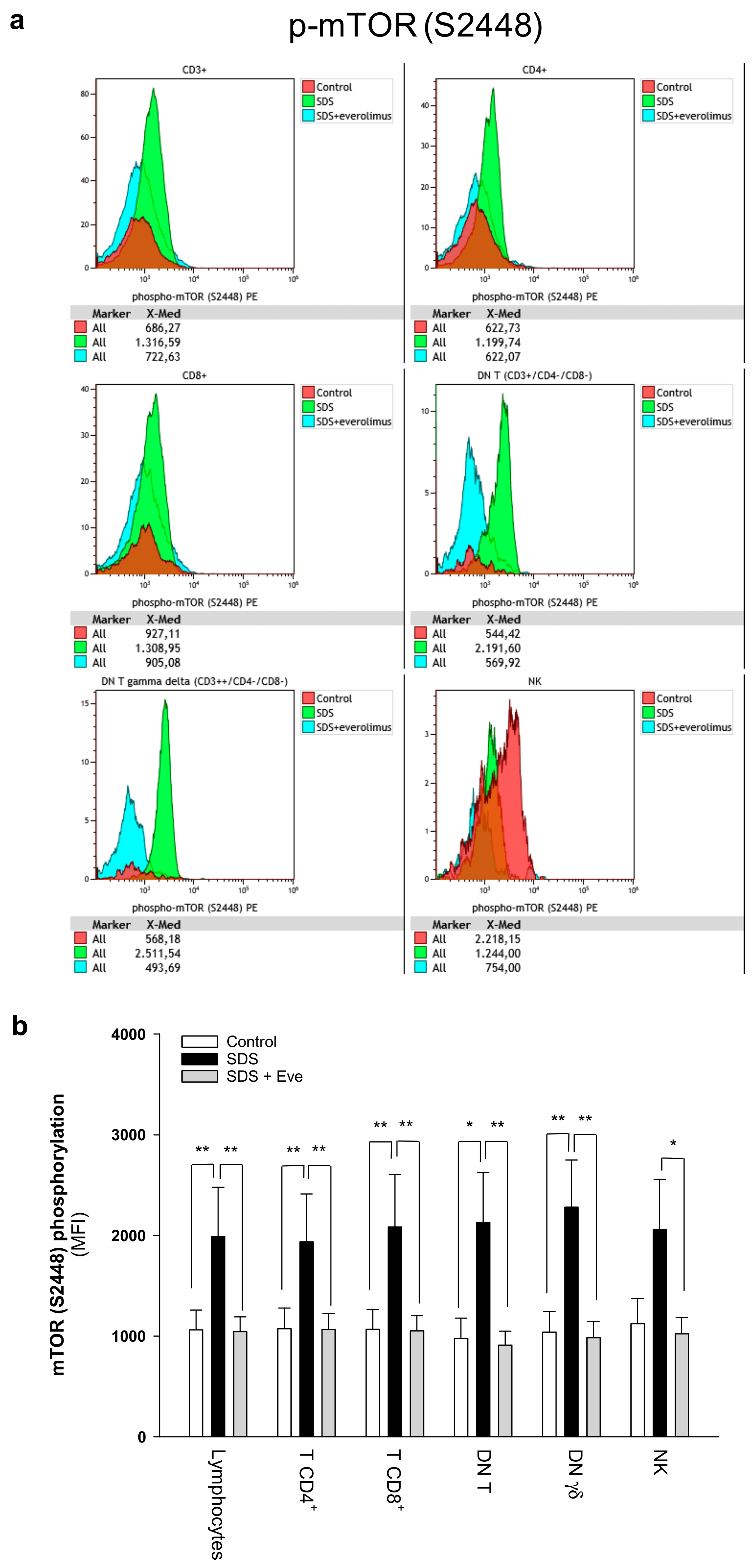 Cancers 12 00597 g001 Cancers 12 00597 g001