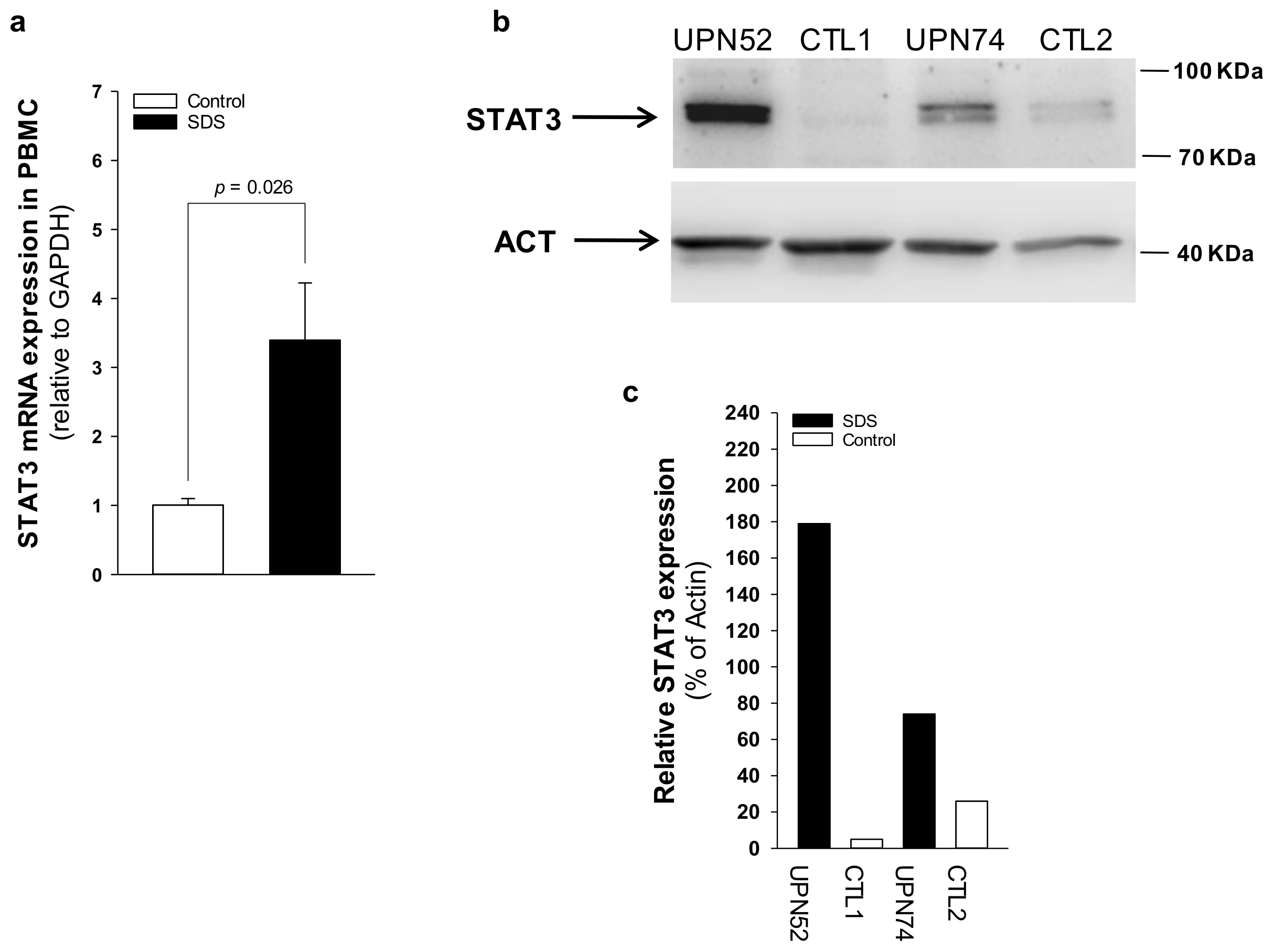 Cancers 12 00597 g004 Cancers 12 00597 g004