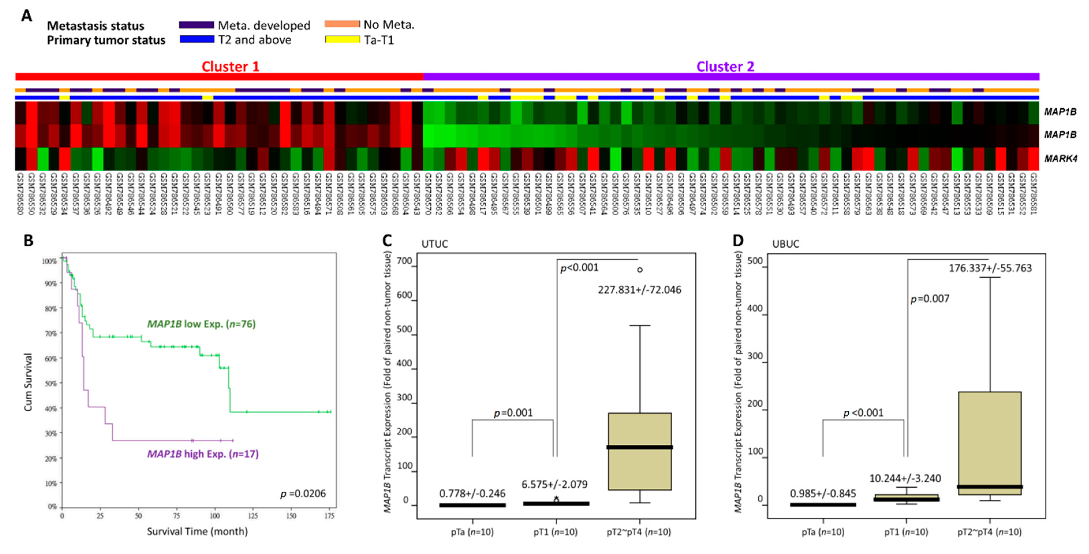 Cancers 12 00630 g001 Cancers 12 00630 g001