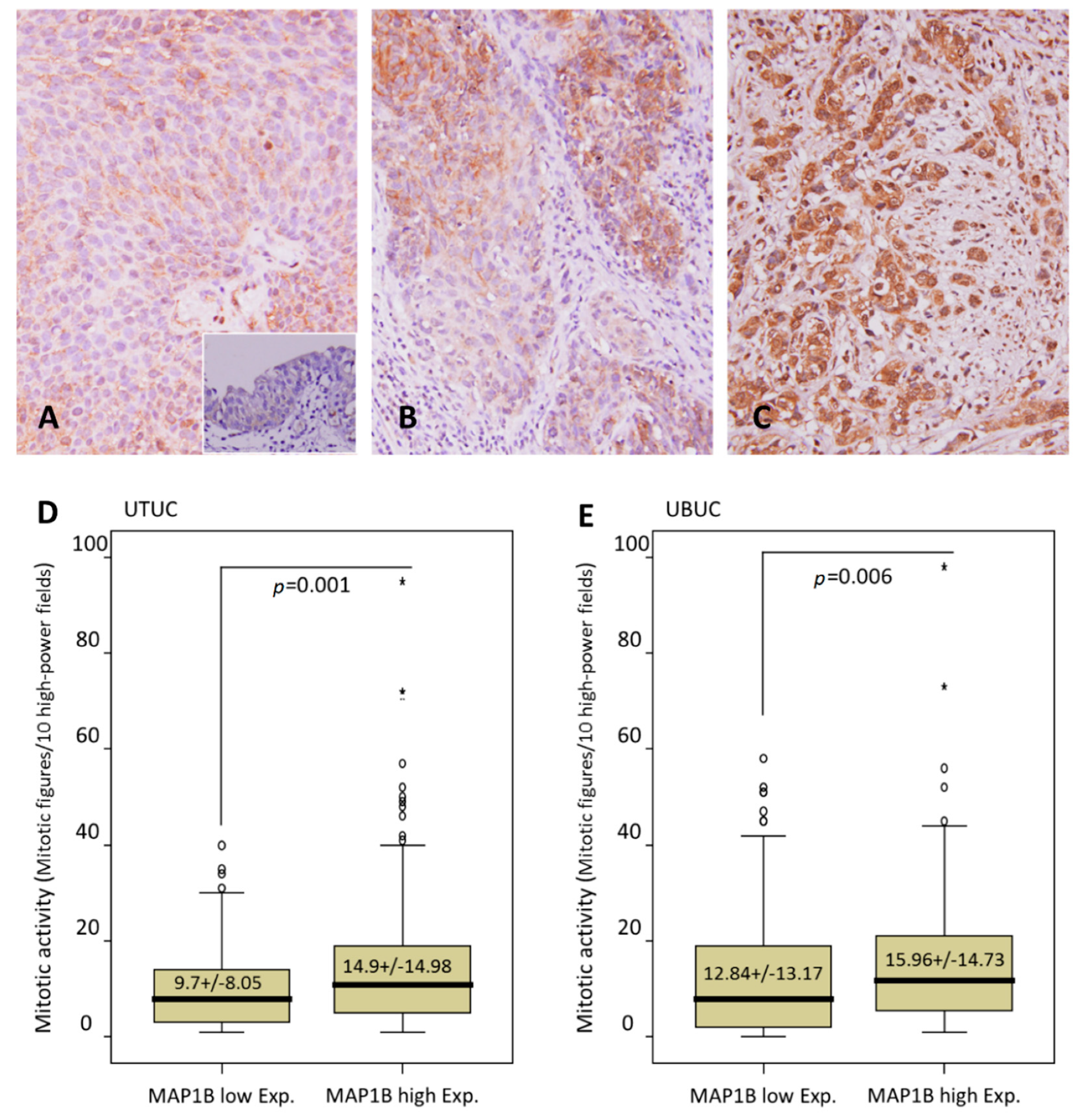 Cancers 12 00630 g002 Cancers 12 00630 g002