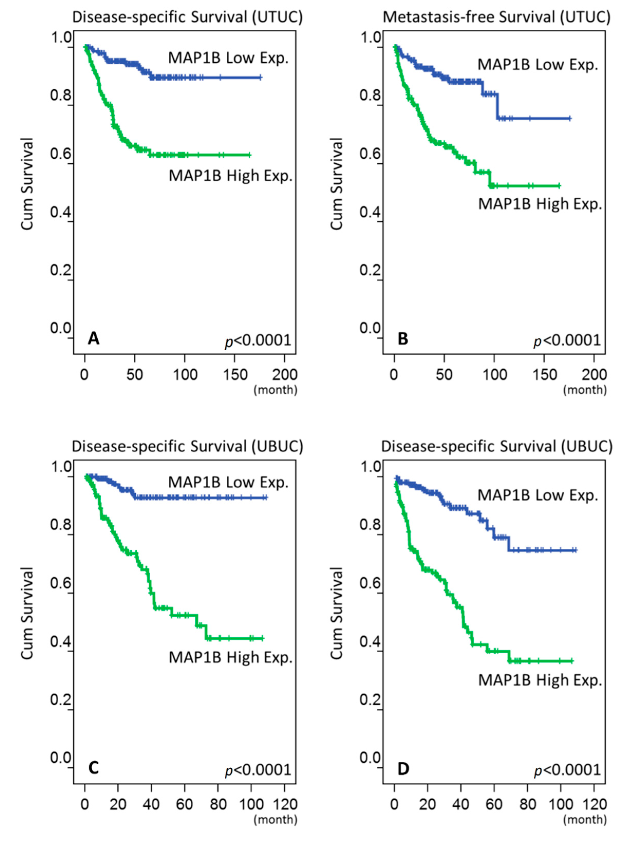 Cancers 12 00630 g003 Cancers 12 00630 g003