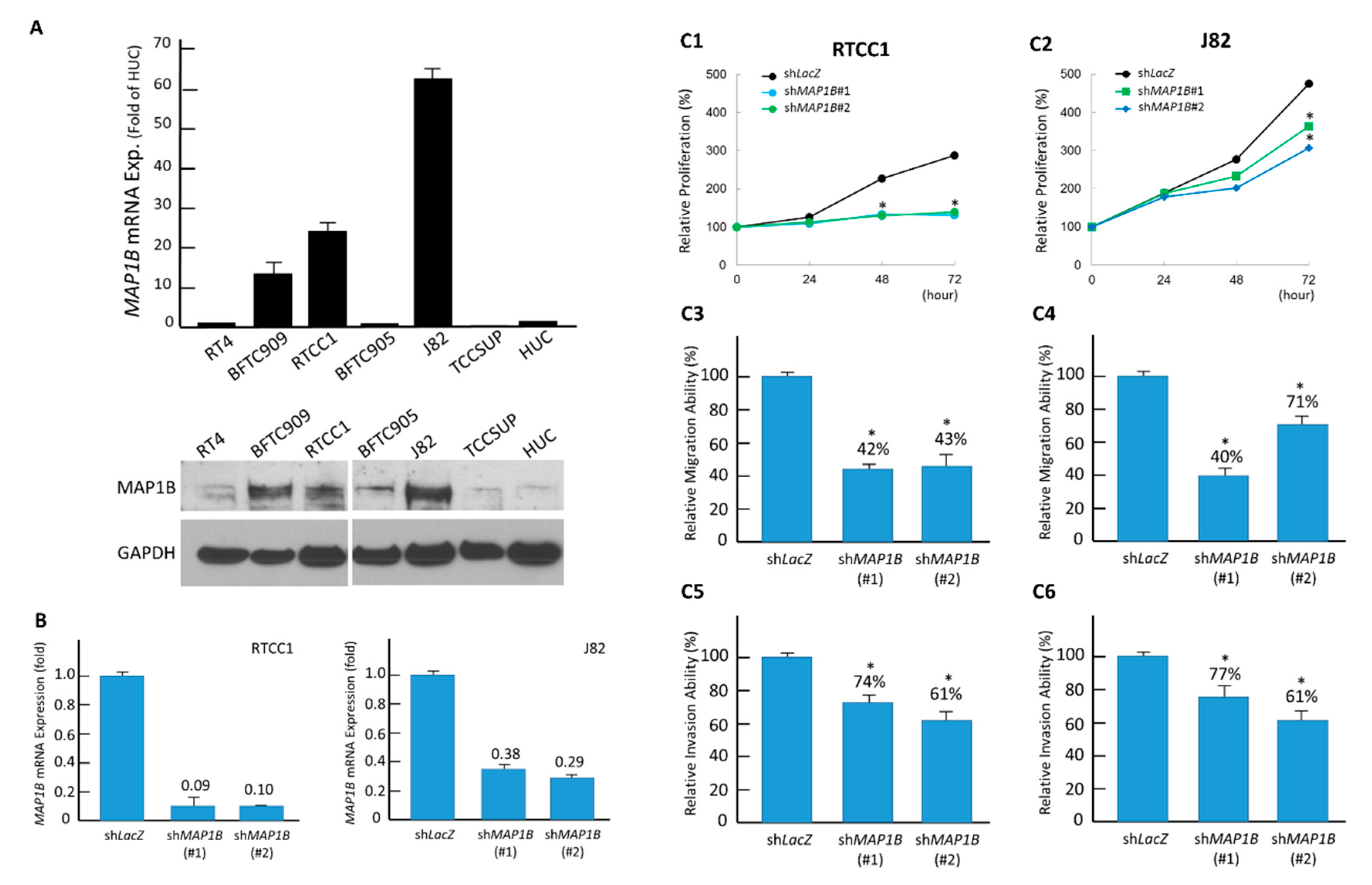 Cancers 12 00630 g004 Cancers 12 00630 g004