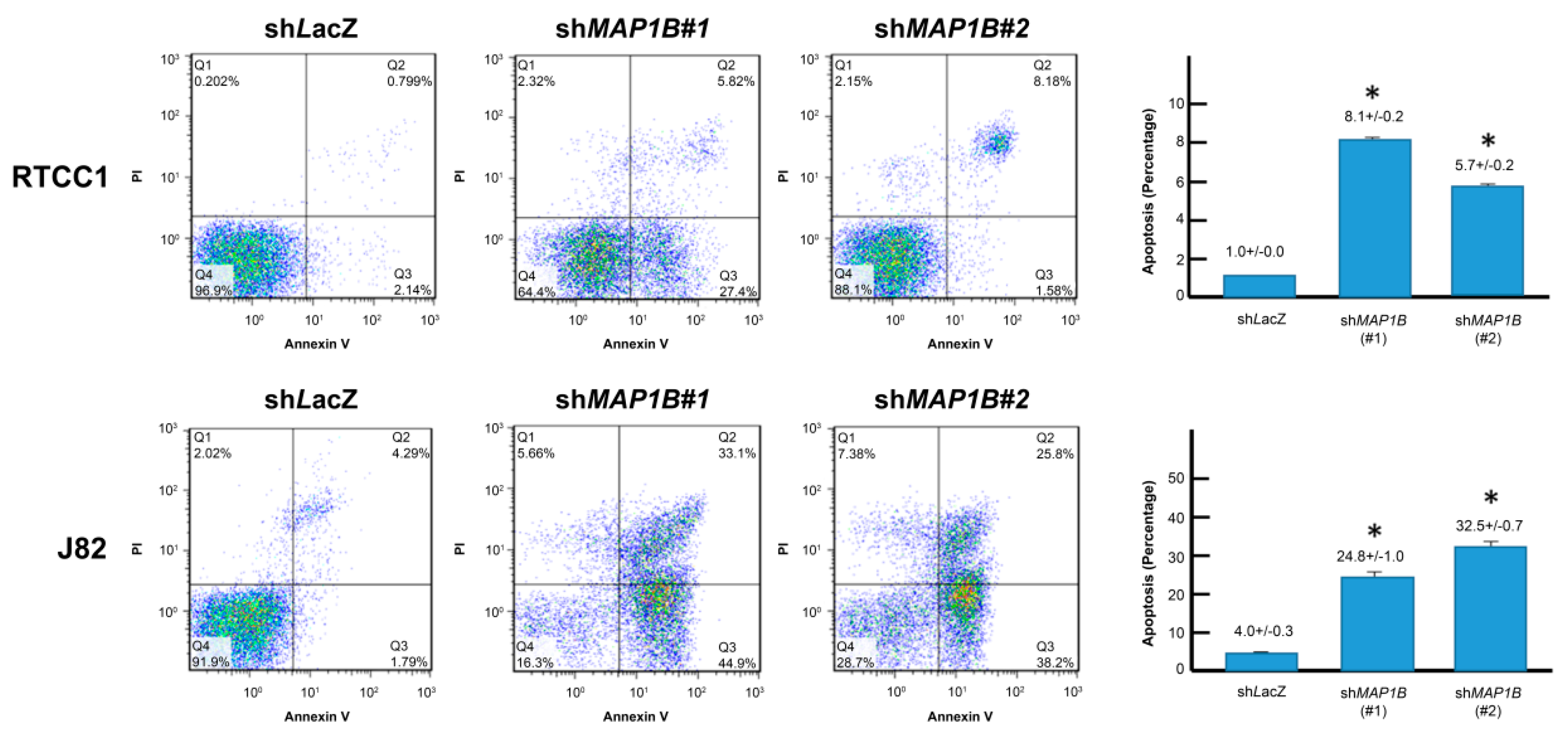 Cancers 12 00630 g006 Cancers 12 00630 g006