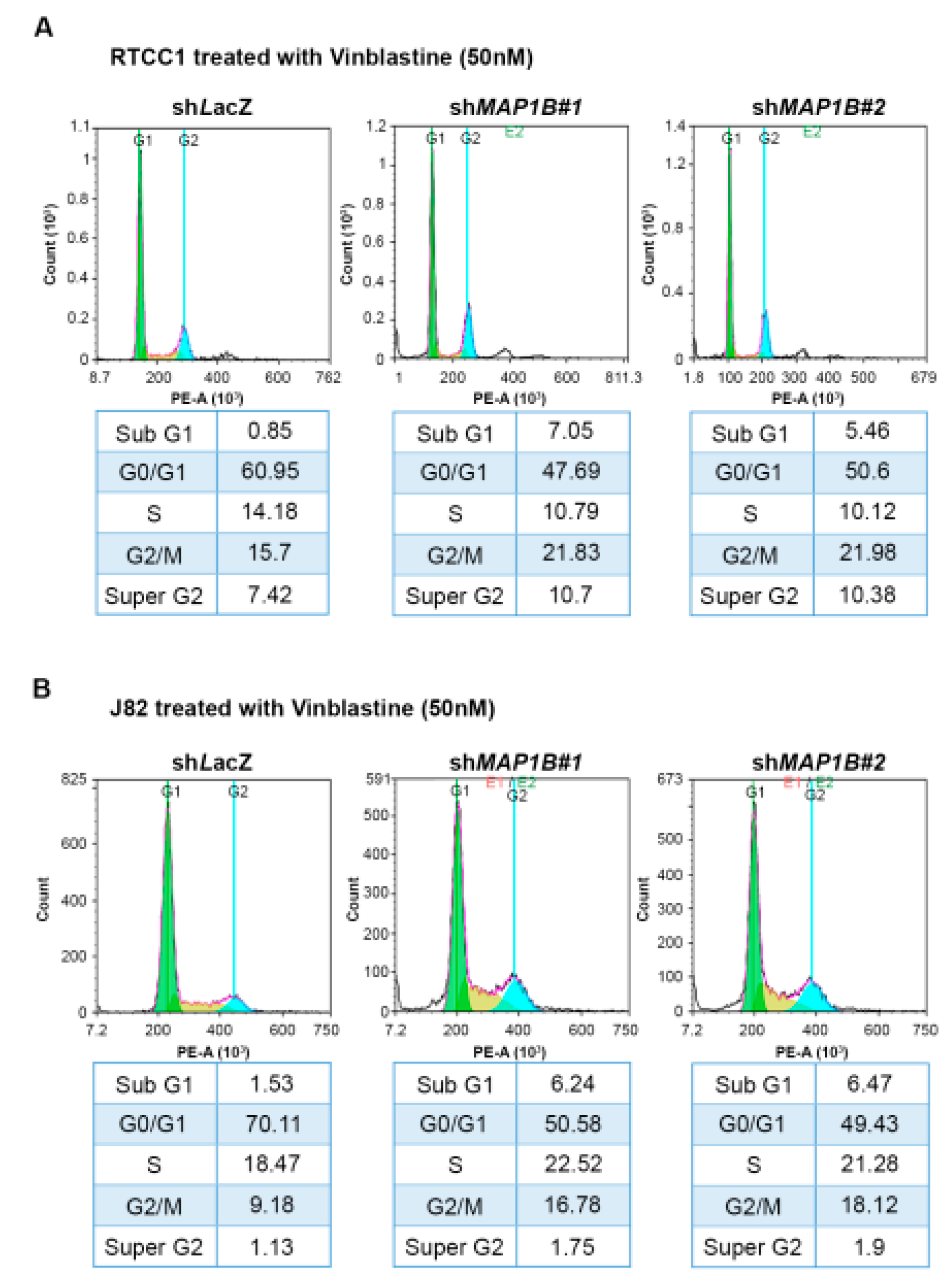 Cancers 12 00630 g007 Cancers 12 00630 g007