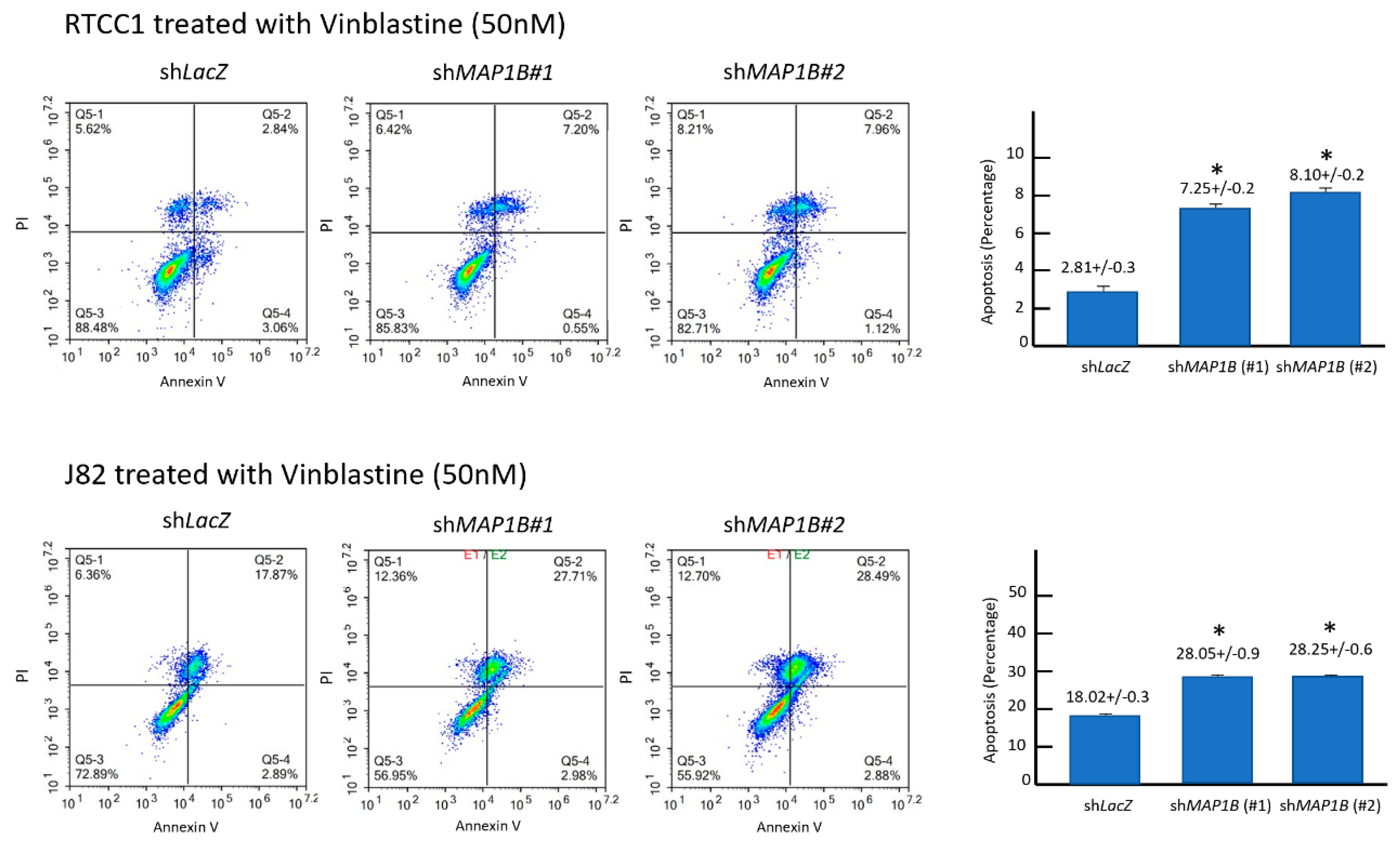 Cancers 12 00630 g008 Cancers 12 00630 g008