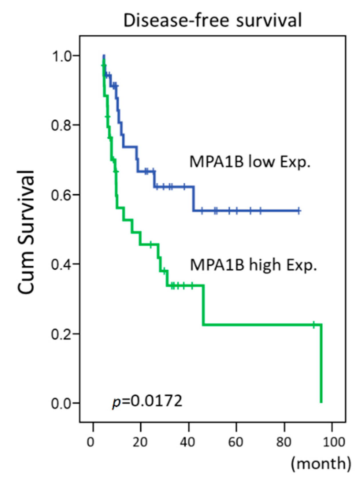 Cancers 12 00630 g009 Cancers 12 00630 g009