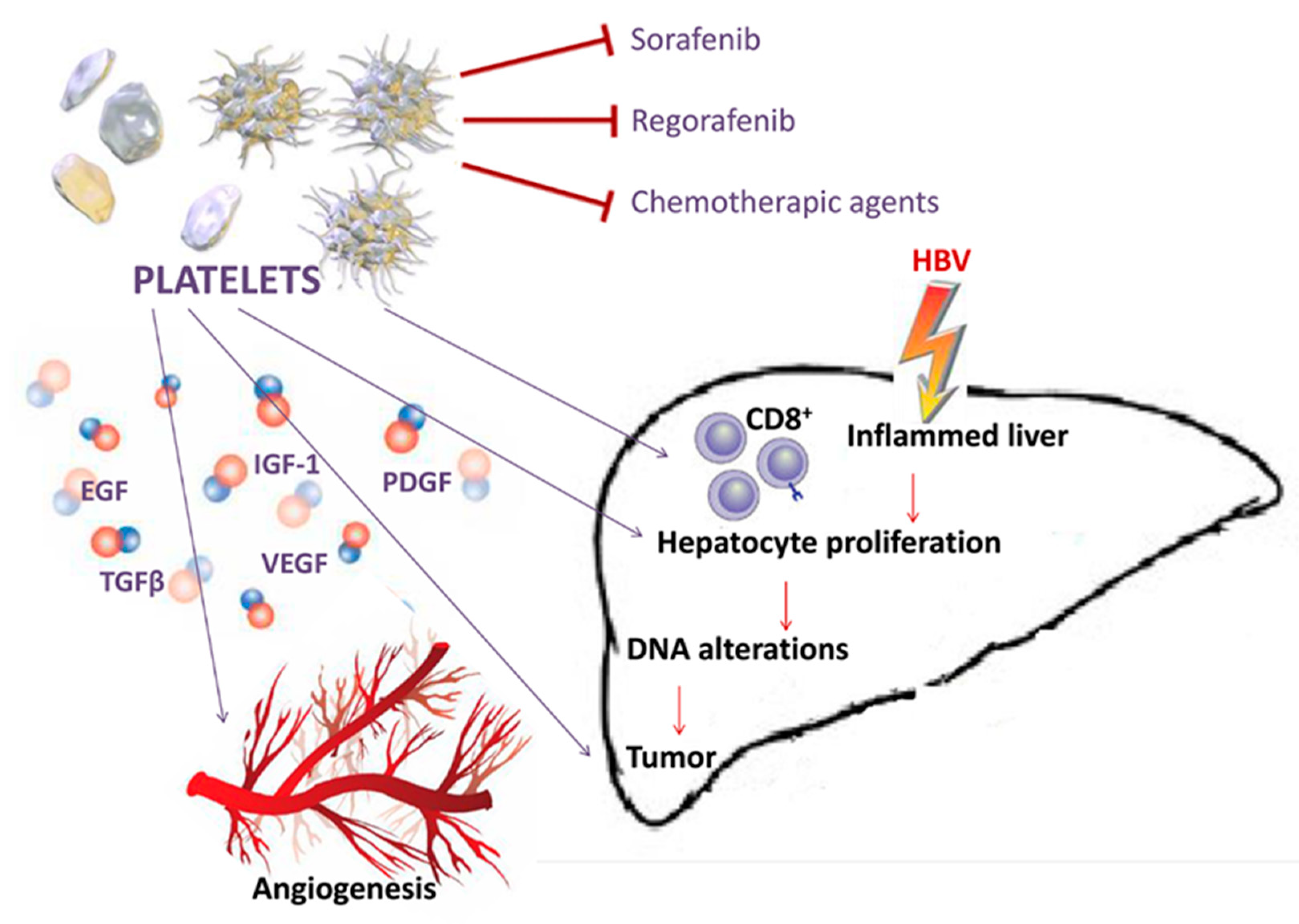Cancers 12 00641 g002