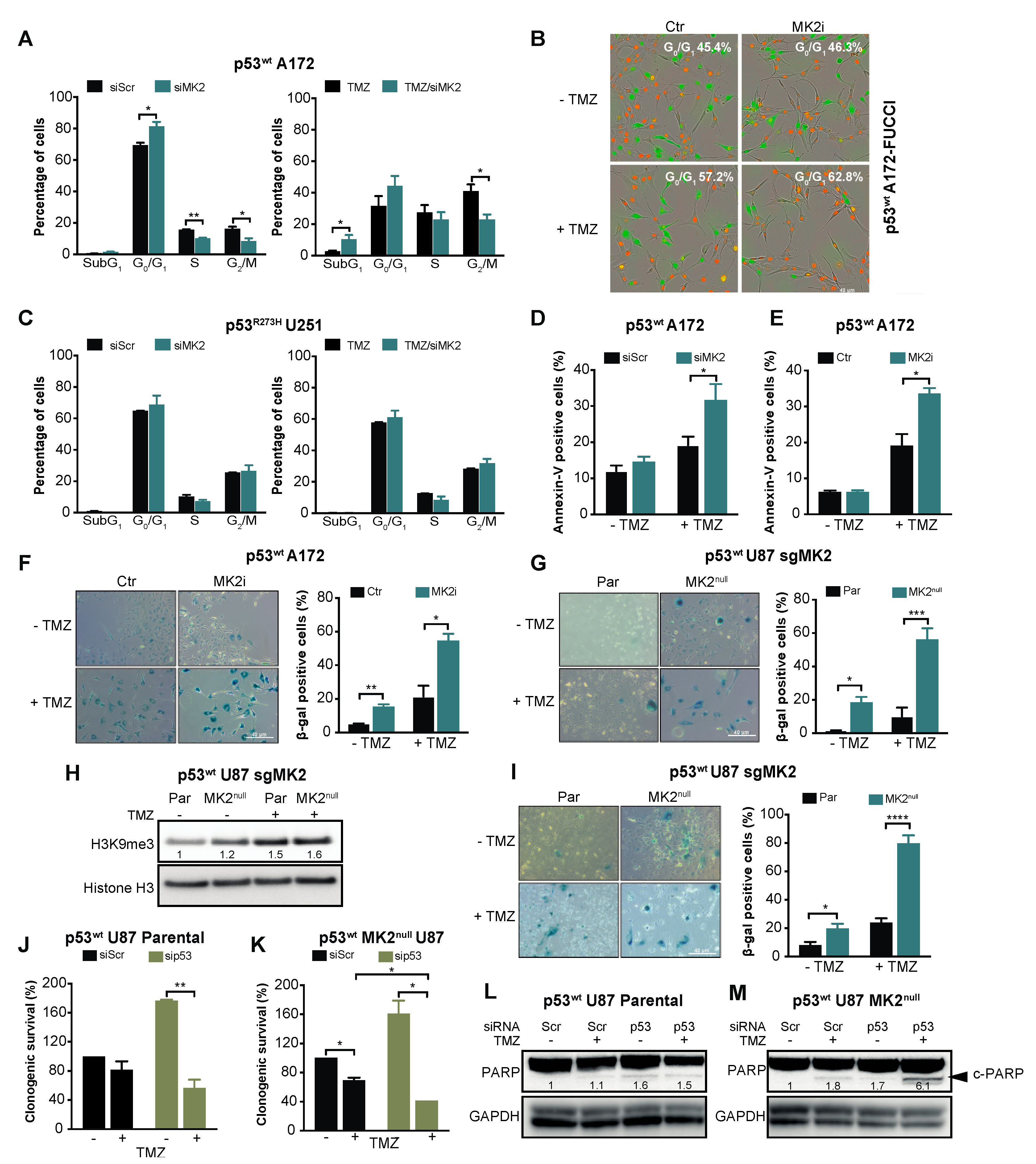 Cancers 12 00654 g003
